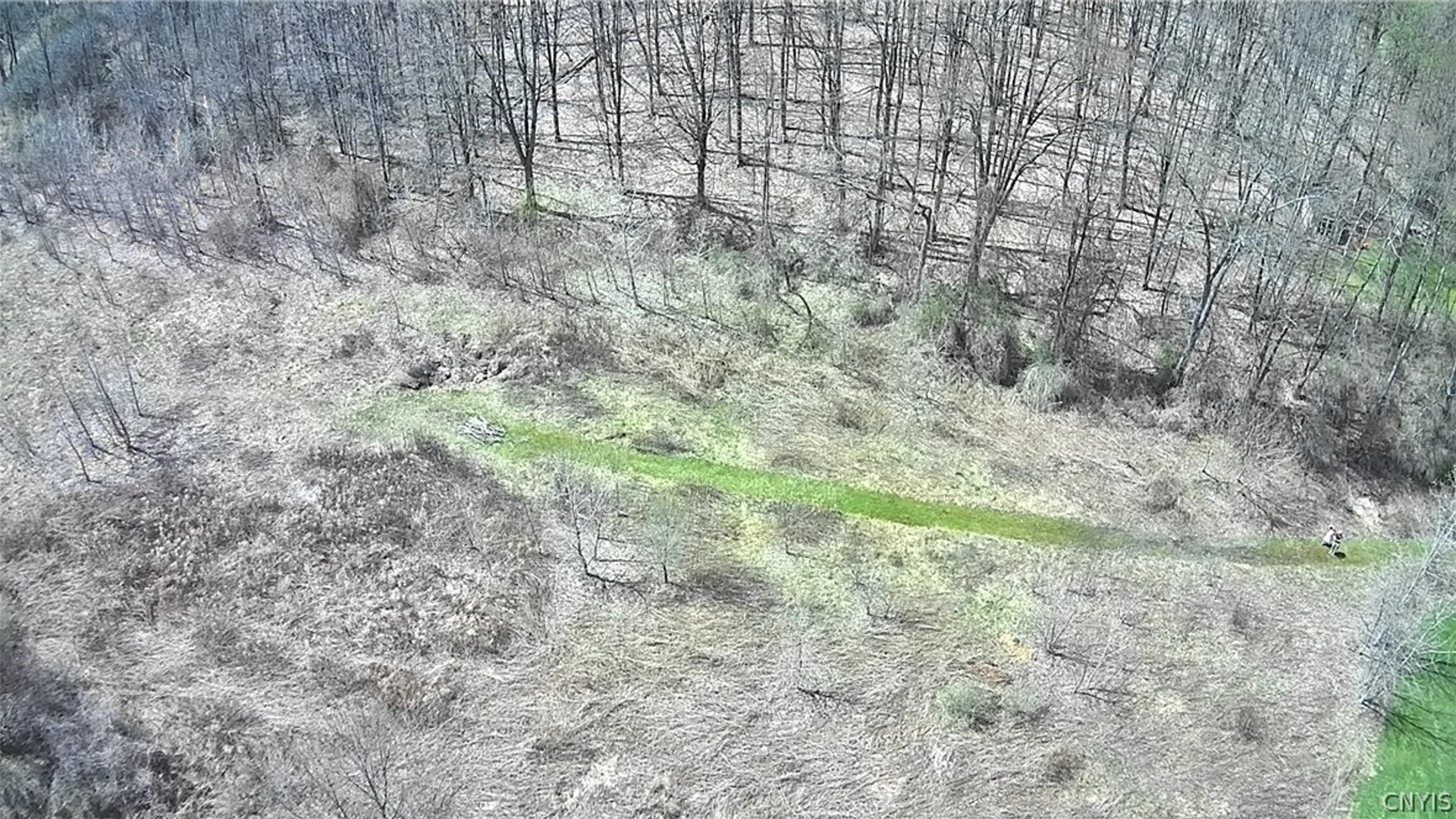 Property at 3665 Hedgemoor Drive, Cortlandville, NY 13045 6