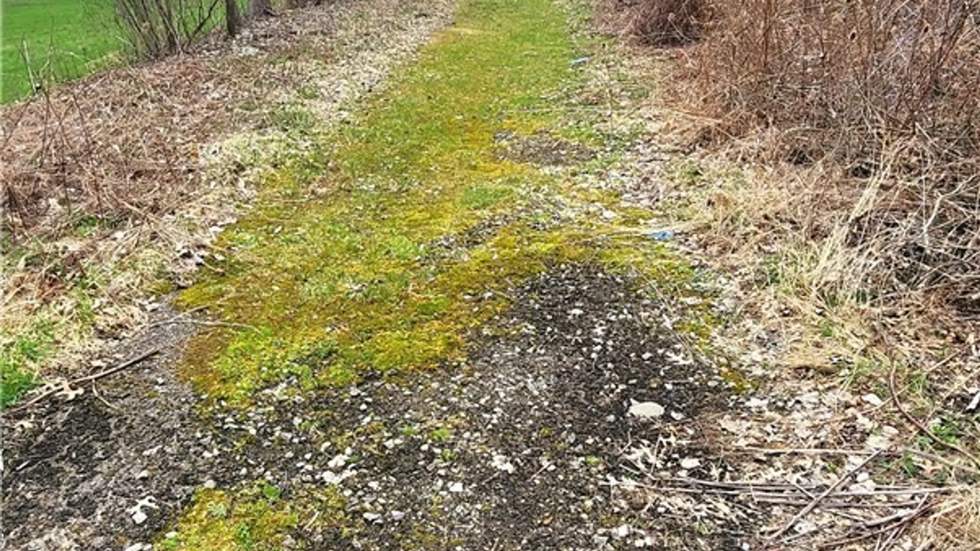 Property at 3665 Hedgemoor Drive, Cortlandville, NY 13045 8