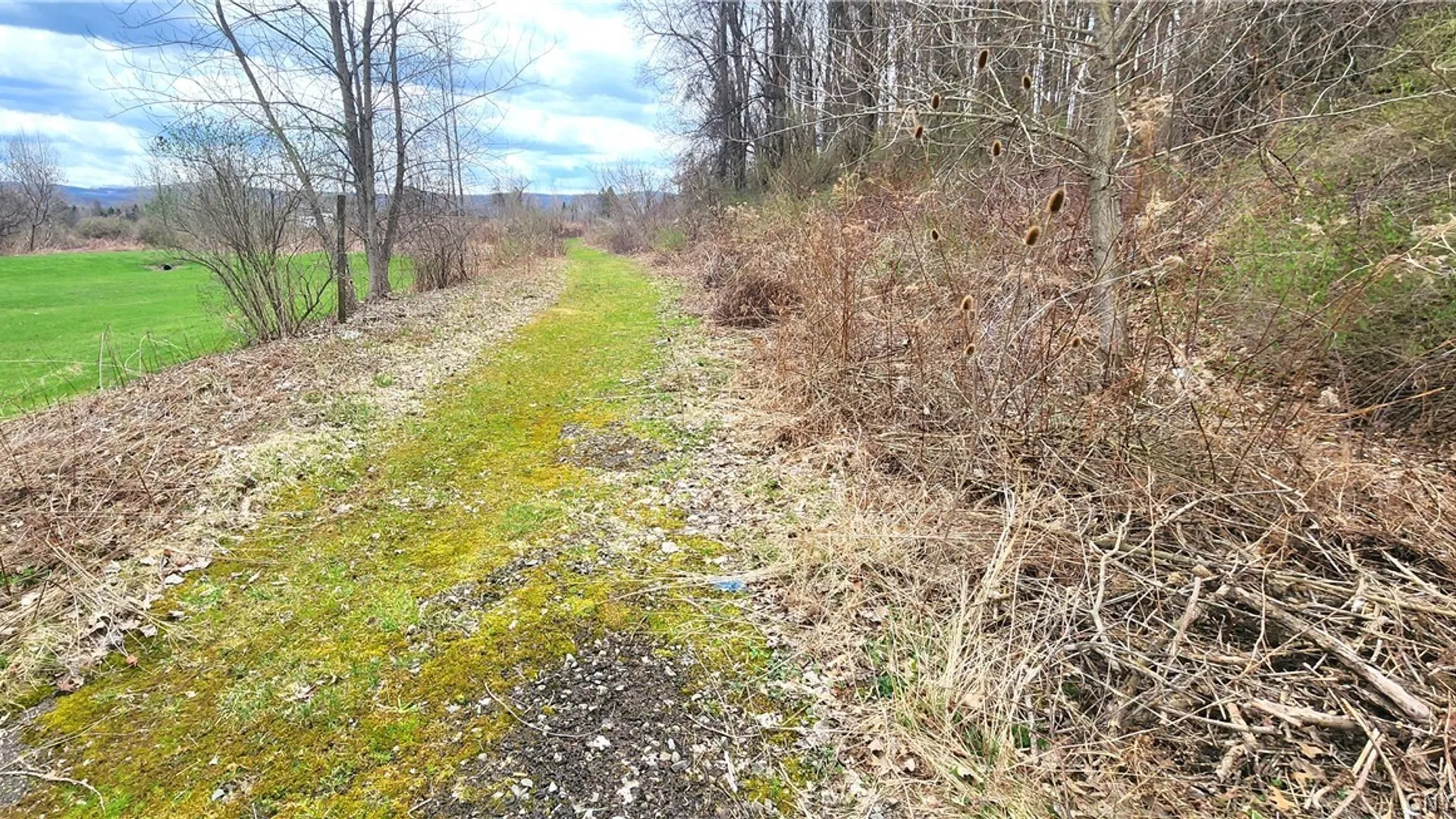 Property at 3665 Hedgemoor Drive, Cortlandville, NY 13045 9