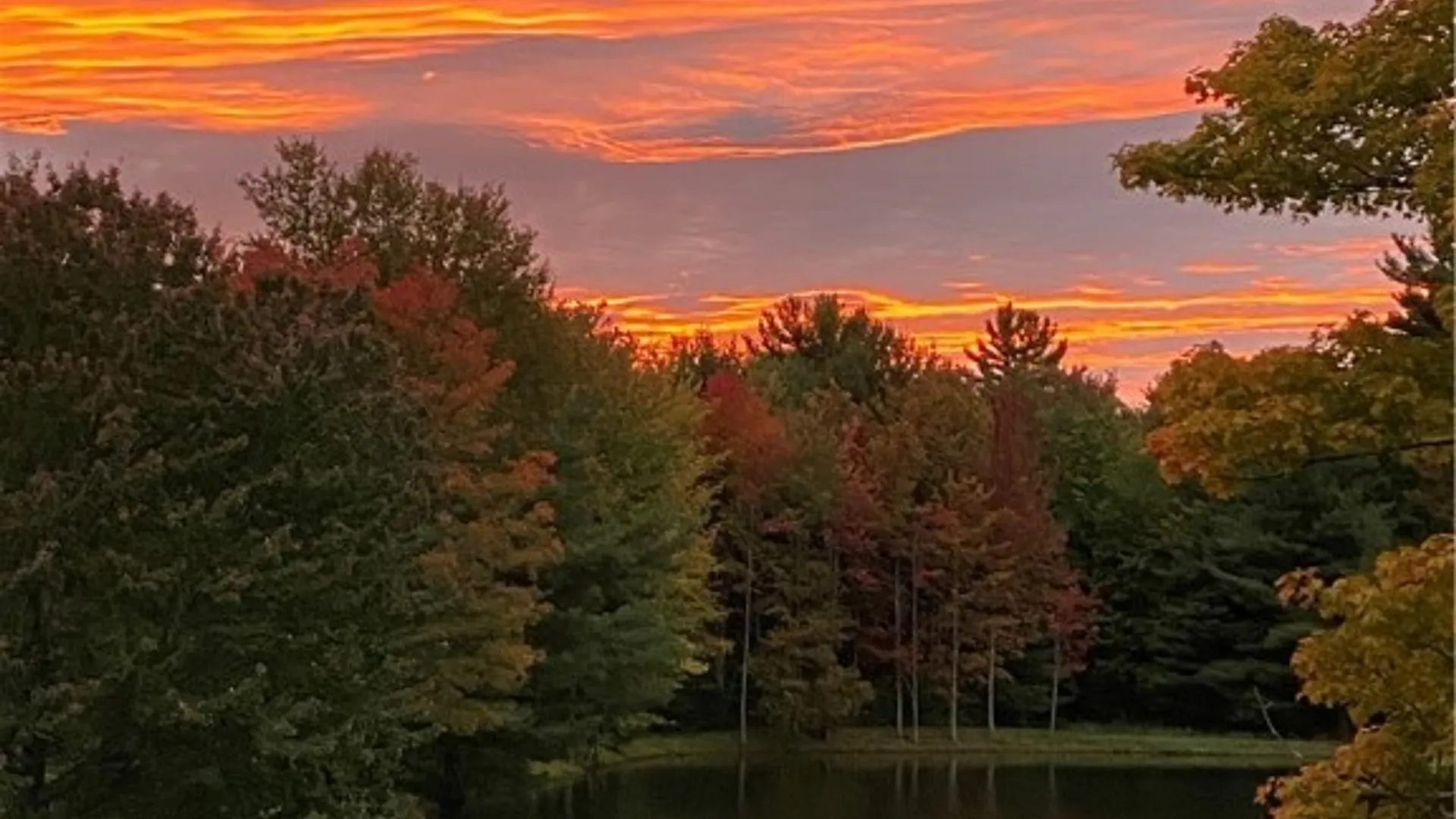 Property at 1298 Shaffer Road, Newfield, NY 14867 4