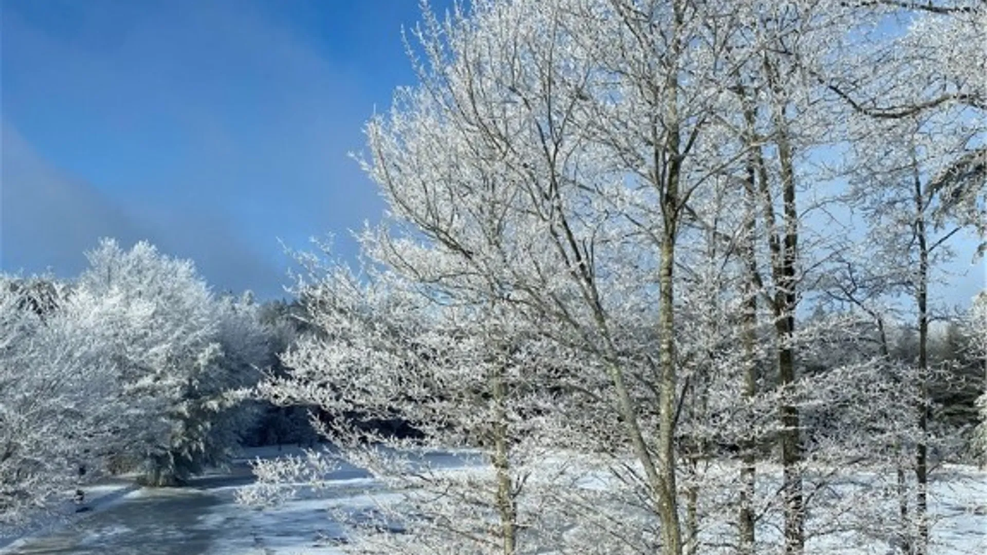 Property at 1298 Shaffer Road, Newfield, NY 14867 43