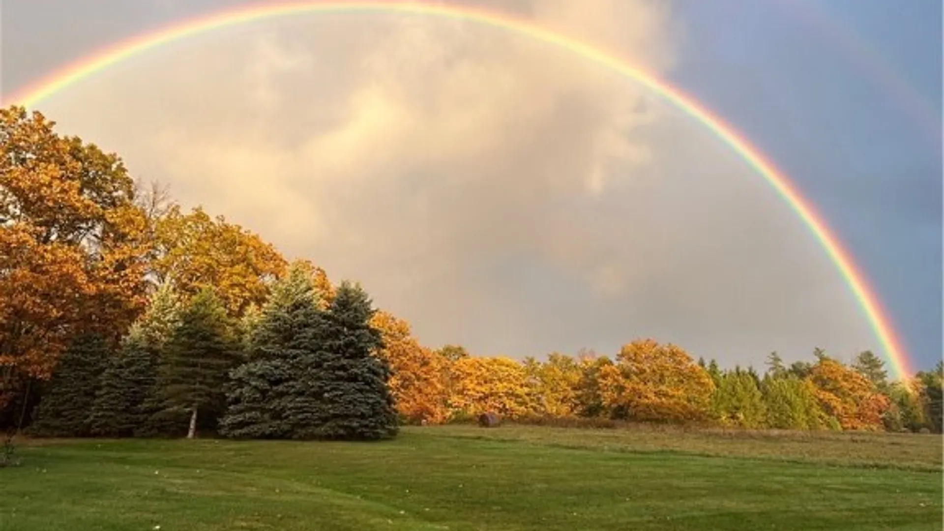 Property at 1298 Shaffer Road, Newfield, NY 14867 44