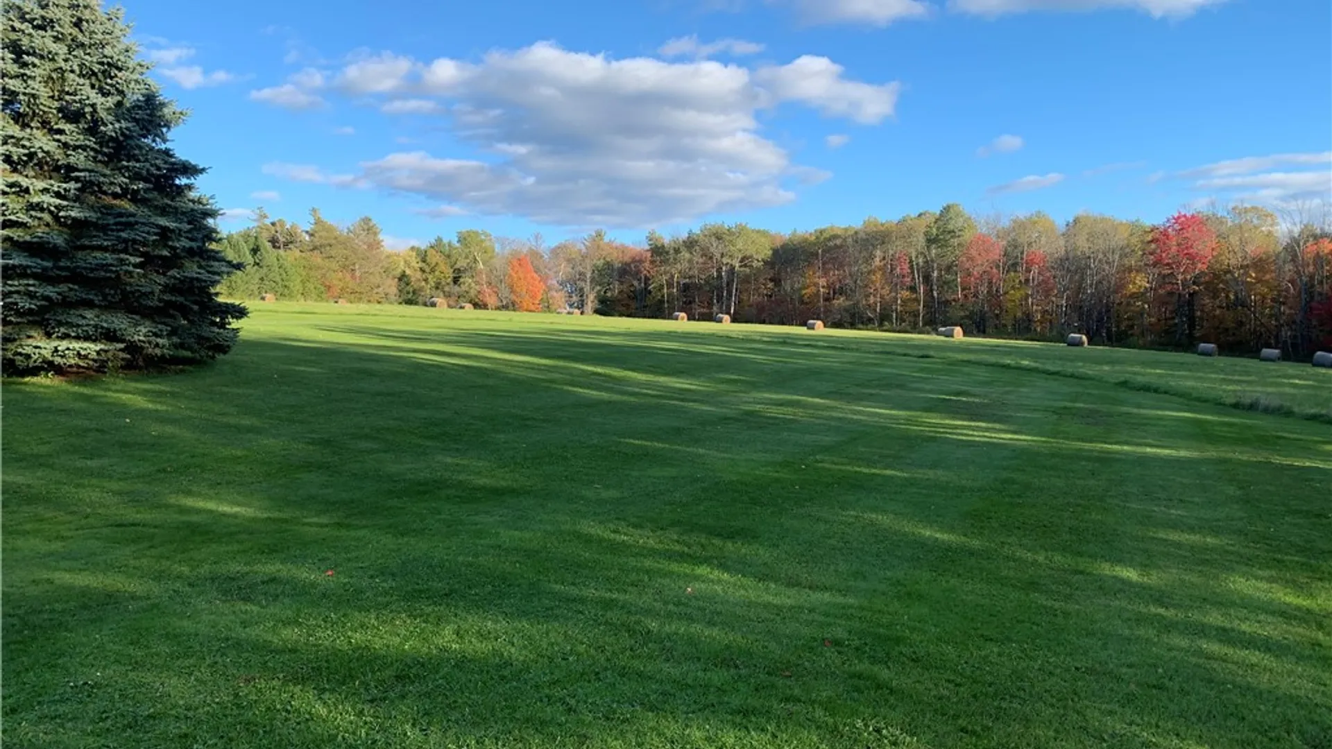 Property at 1298 Shaffer Road, Newfield, NY 14867 45