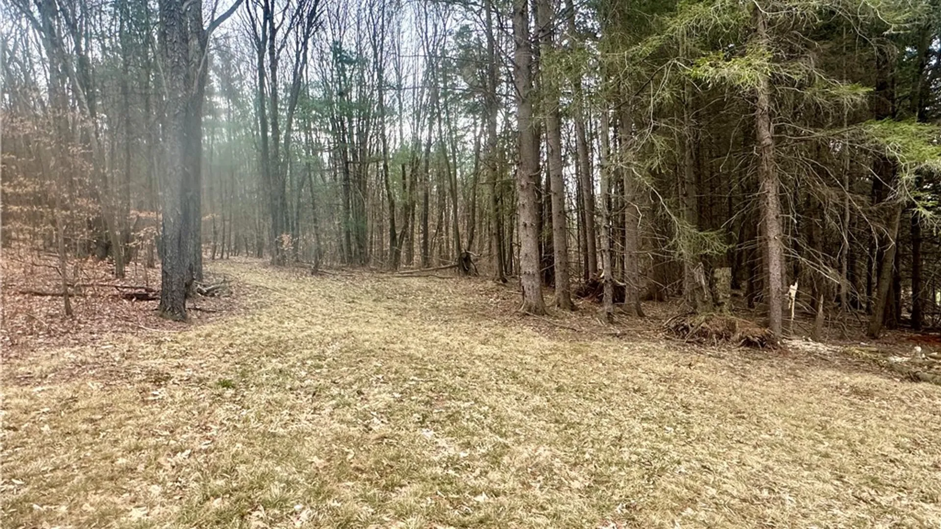 Property at 1980 Swart Hollow Road, Davenport, NY 13750 17