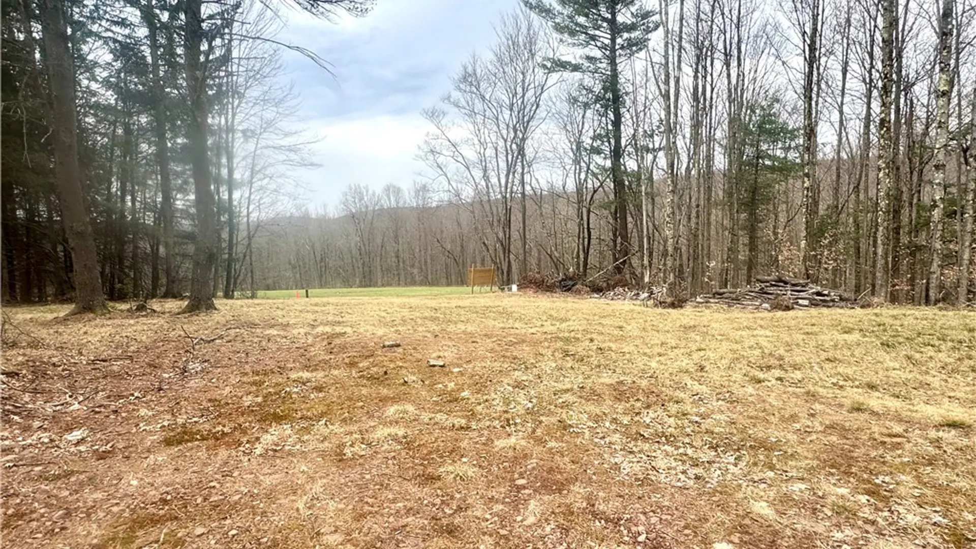 Property at 1980 Swart Hollow Road, Davenport, NY 13750 19
