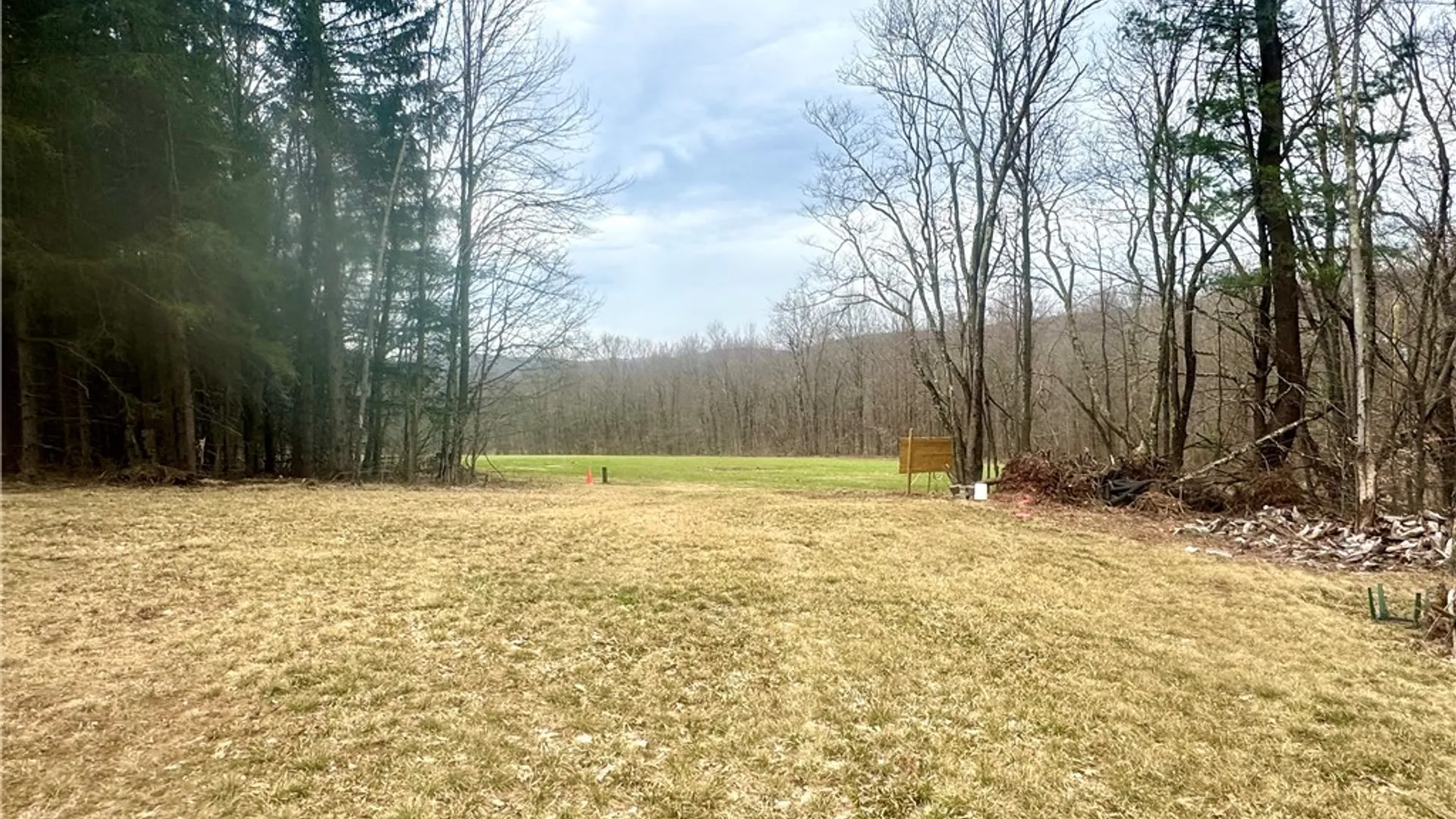 Property at 1980 Swart Hollow Road, Davenport, NY 13750 20