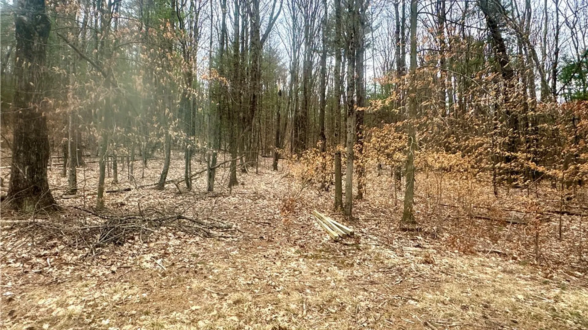 Property at 1980 Swart Hollow Road, Davenport, NY 13750 21