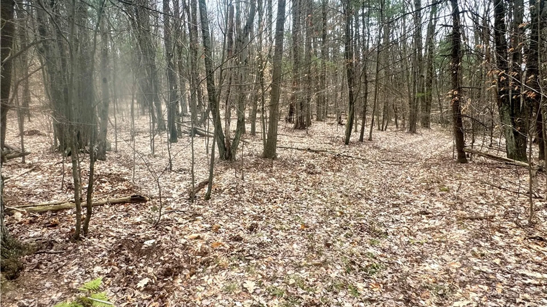 Property at 1980 Swart Hollow Road, Davenport, NY 13750 23