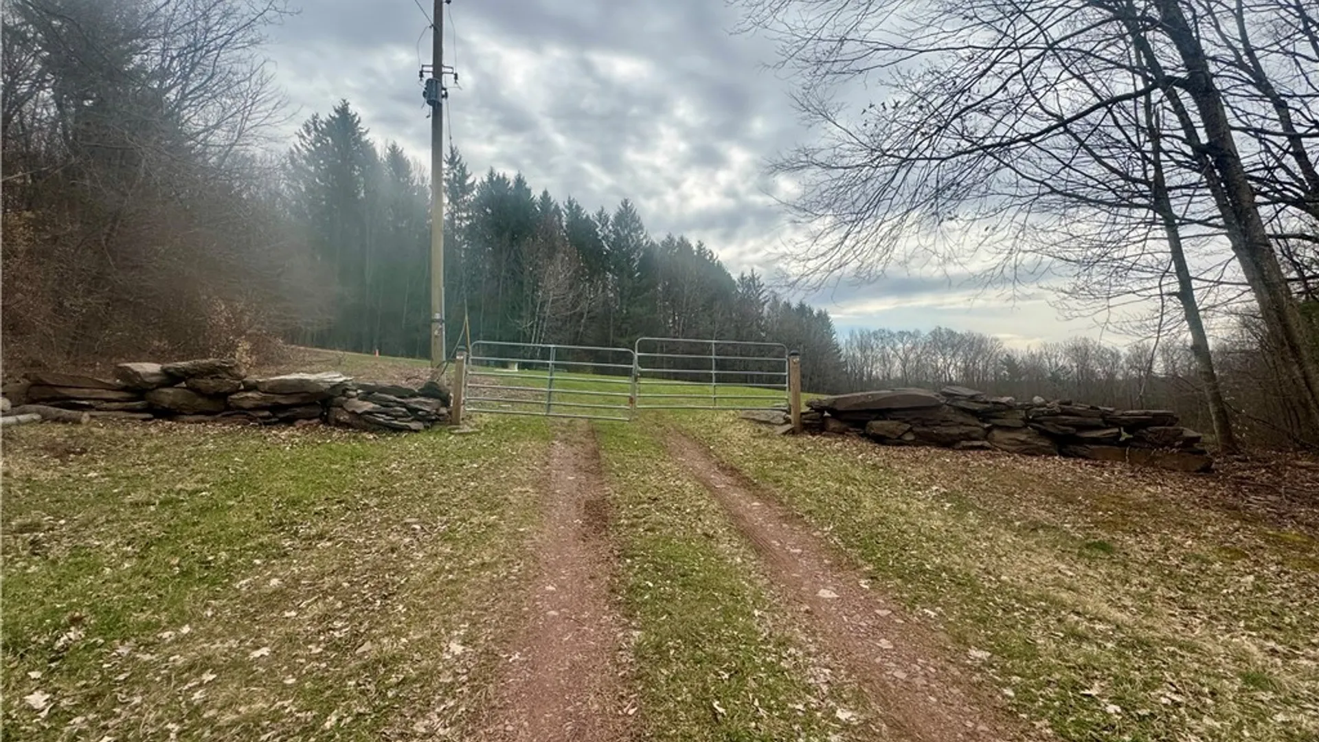 Property at 1980 Swart Hollow Road, Davenport, NY 13750 3