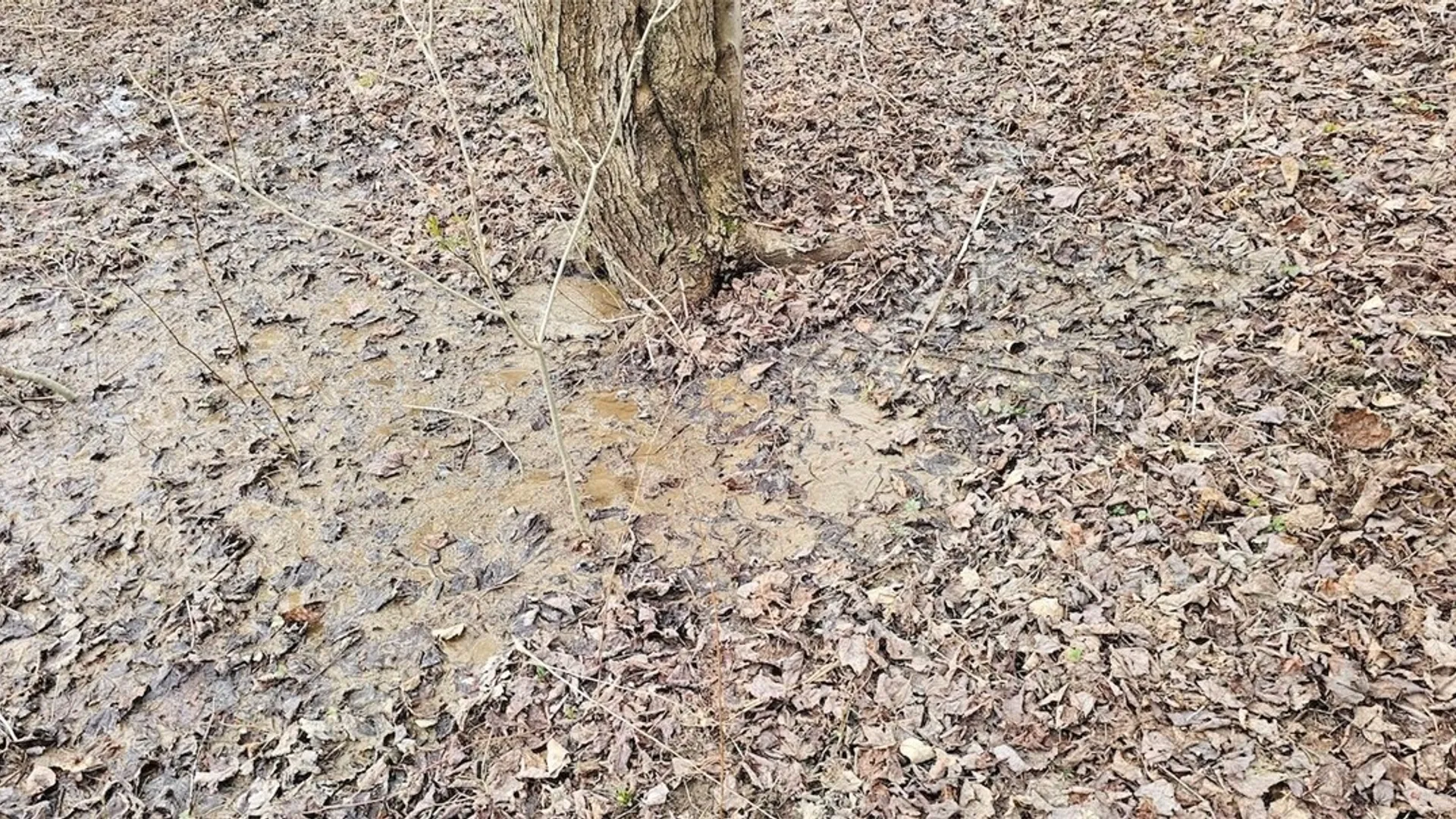 Property at Level Green Road, Caroline, NY 13736 11