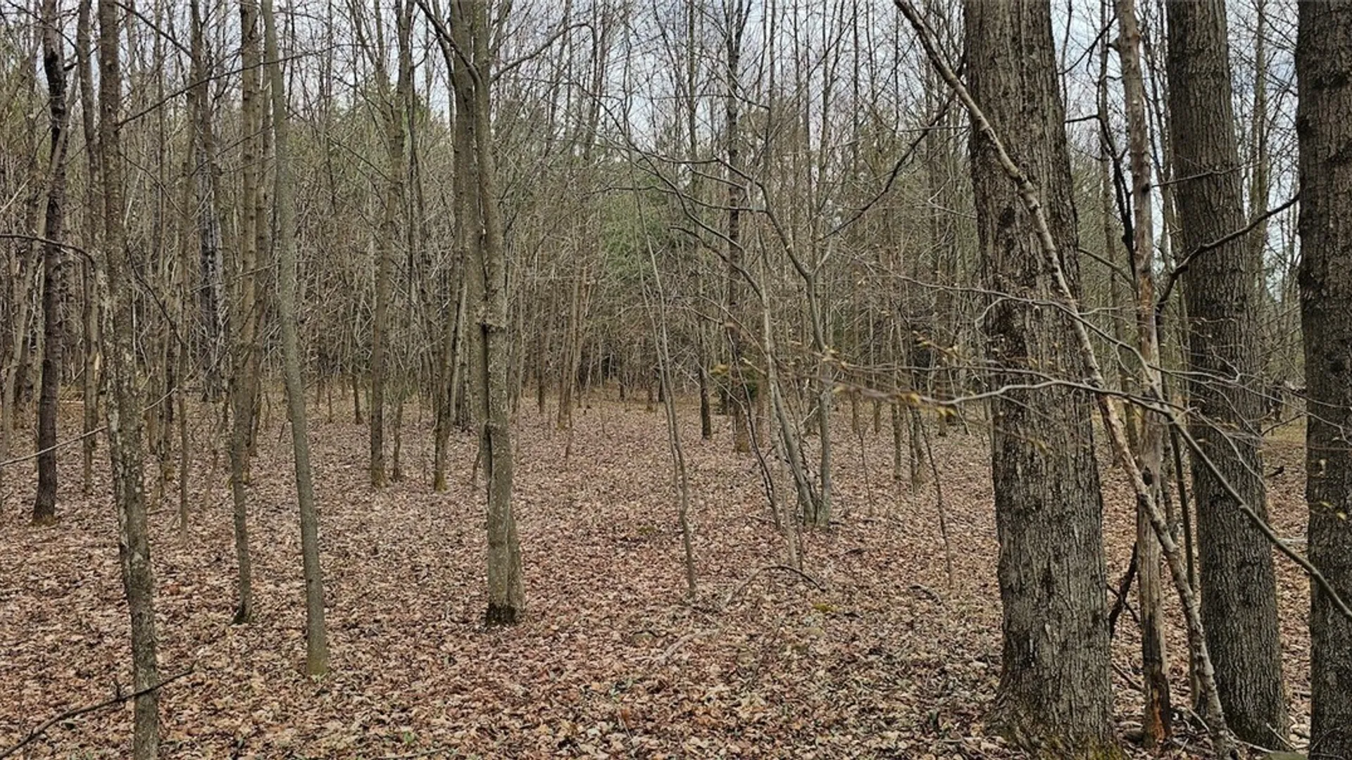 Property at Level Green Road, Caroline, NY 13736 13