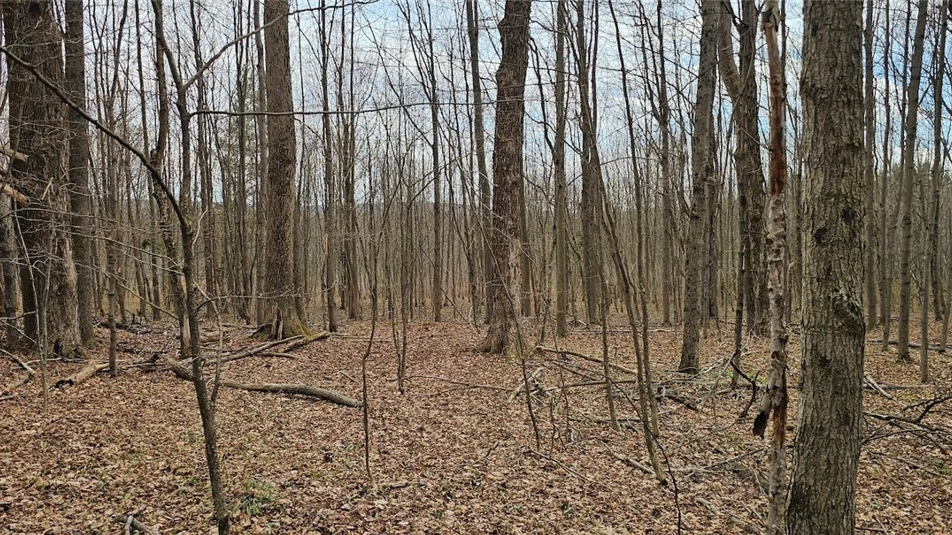 Property at Level Green Road, Caroline, NY 13736 14