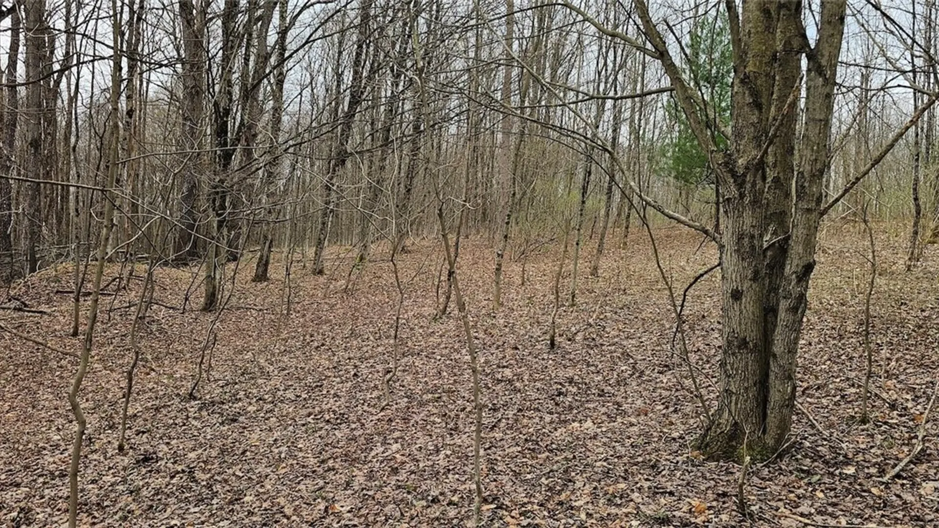 Property at Level Green Road, Caroline, NY 13736 16