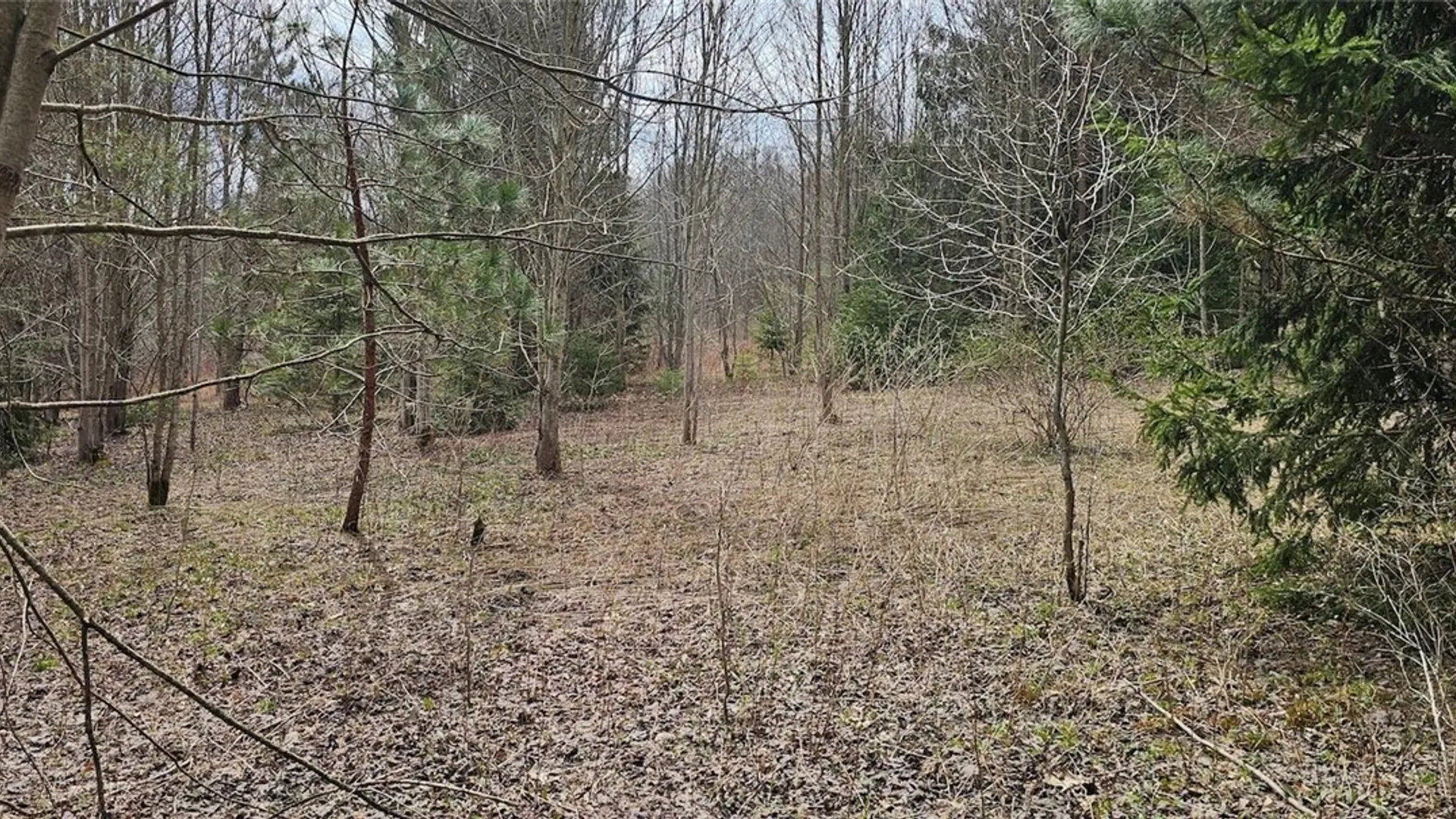 Property at Level Green Road, Caroline, NY 13736 19