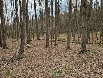Level Green Road, Caroline, NY 13736