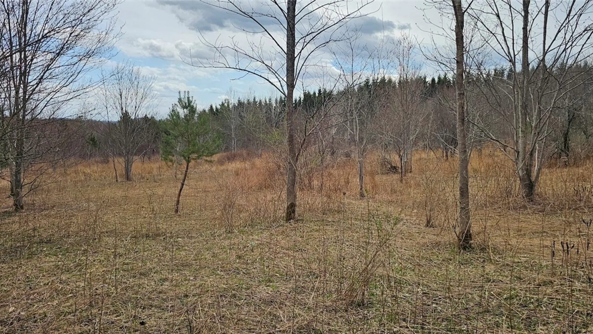 Property at Level Green Road, Caroline, NY 13736 2