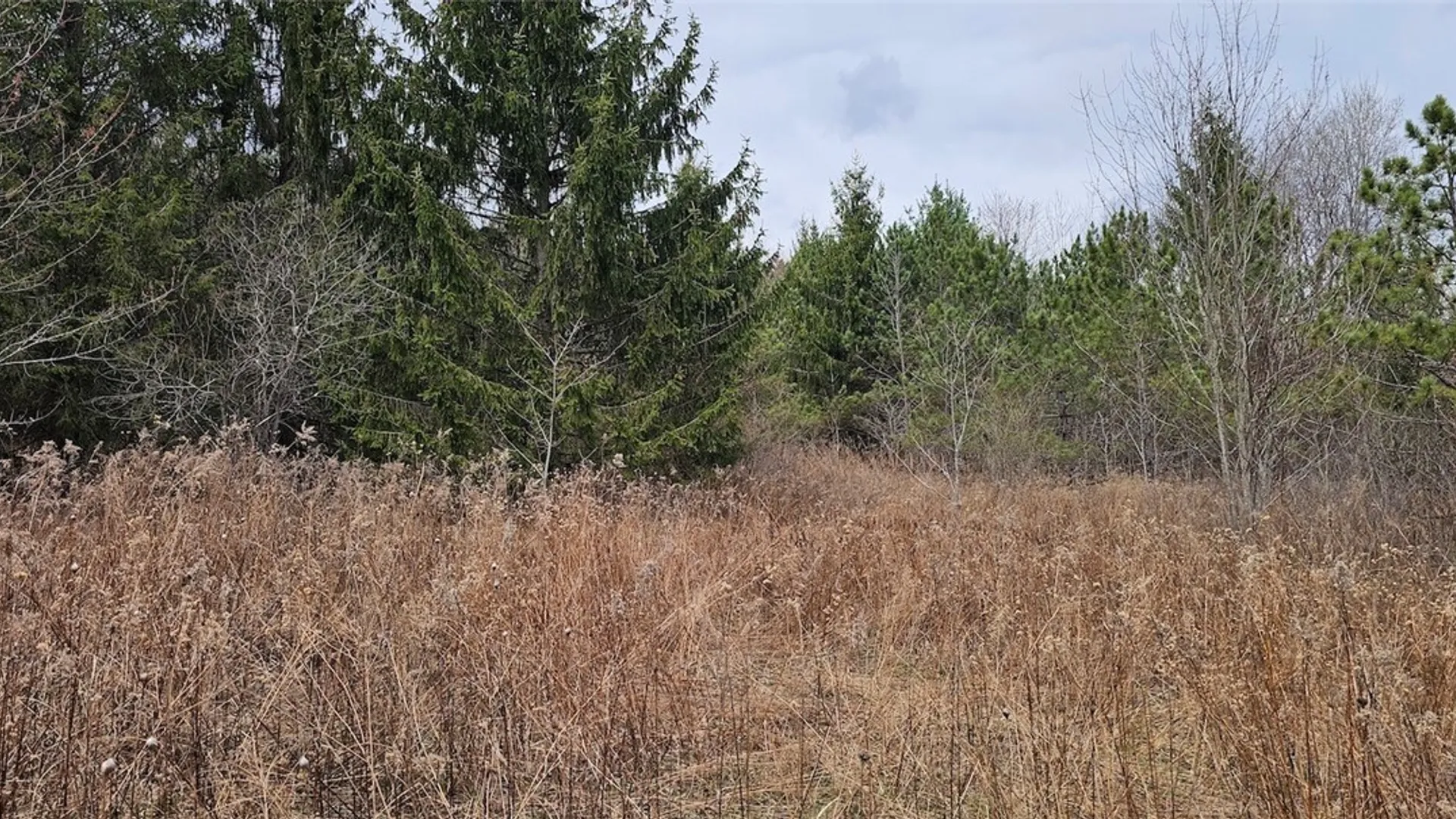 Property at Level Green Road, Caroline, NY 13736 20