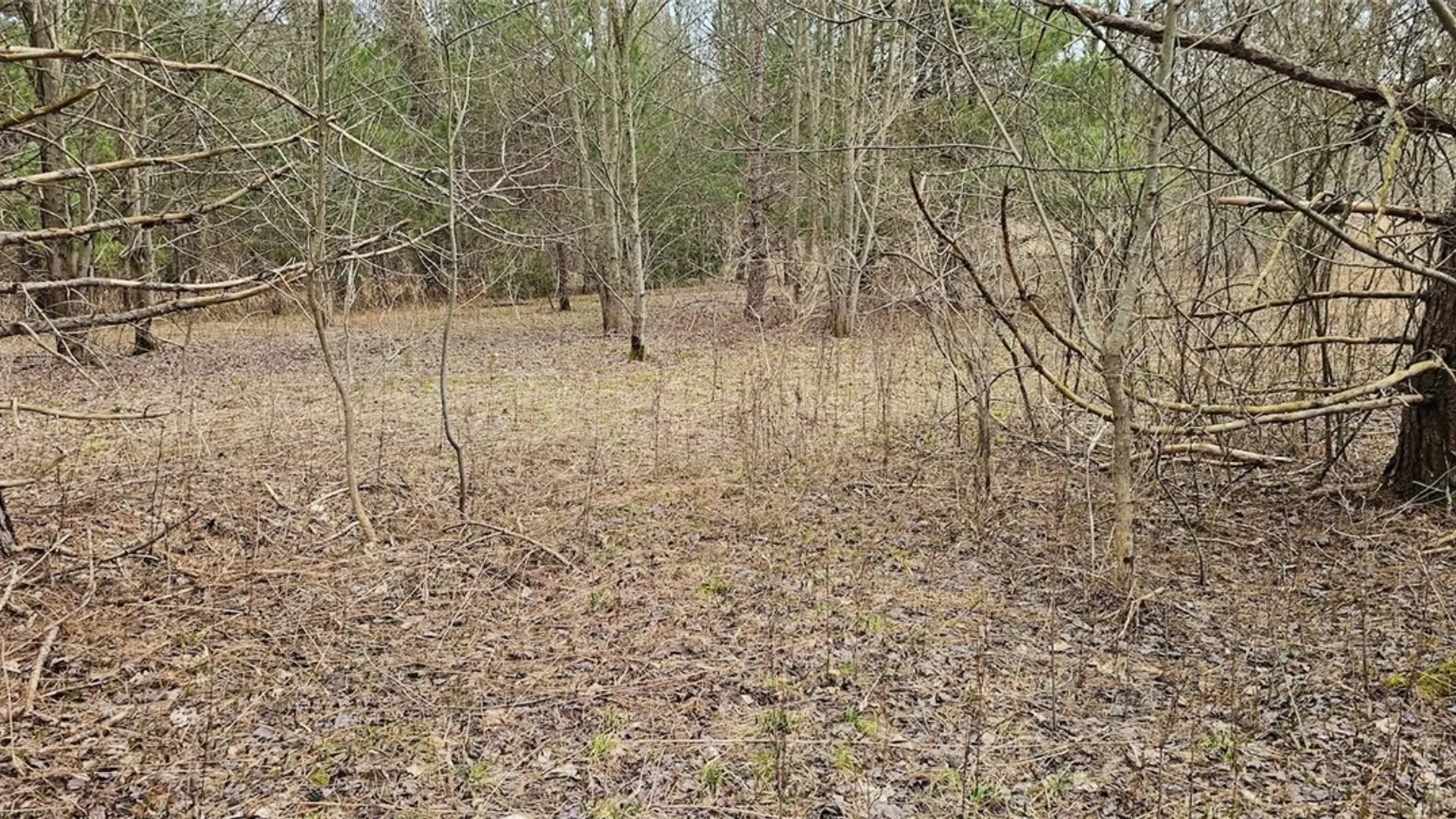 Property at Level Green Road, Caroline, NY 13736 21