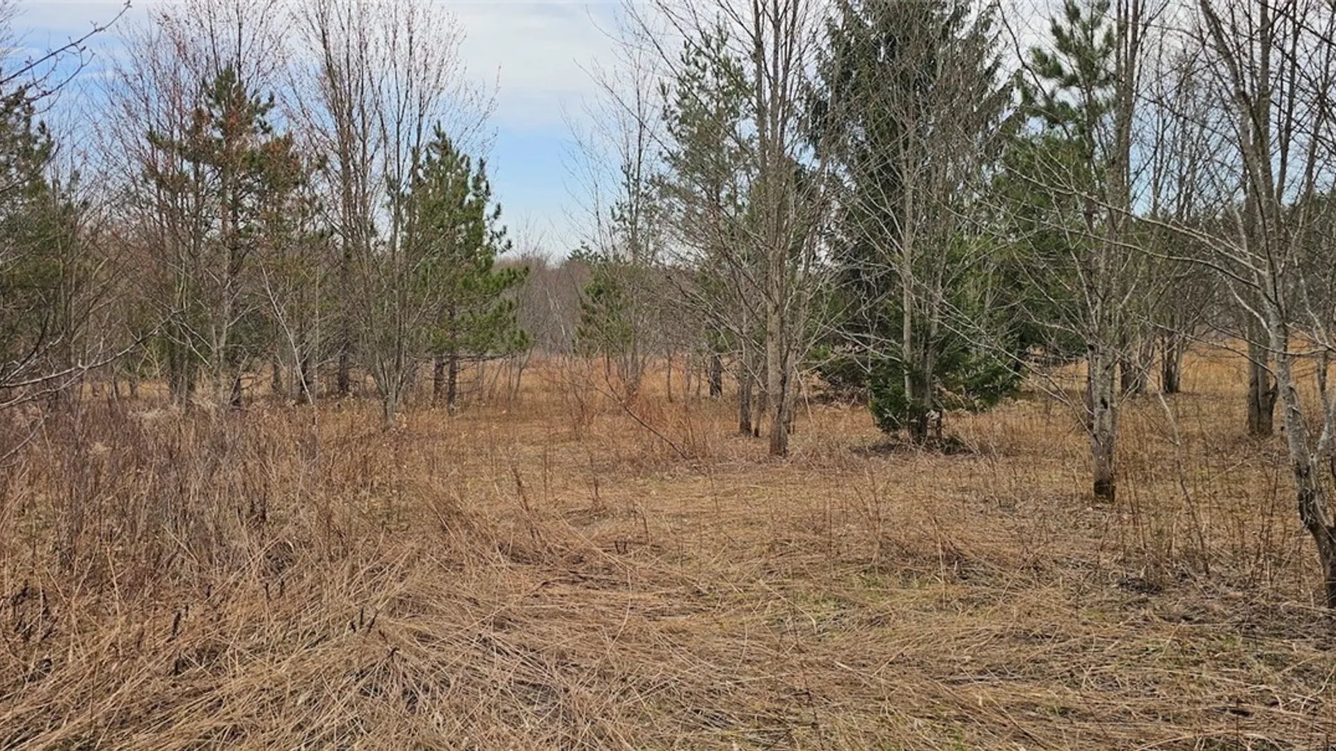 Property at Level Green Road, Caroline, NY 13736 23