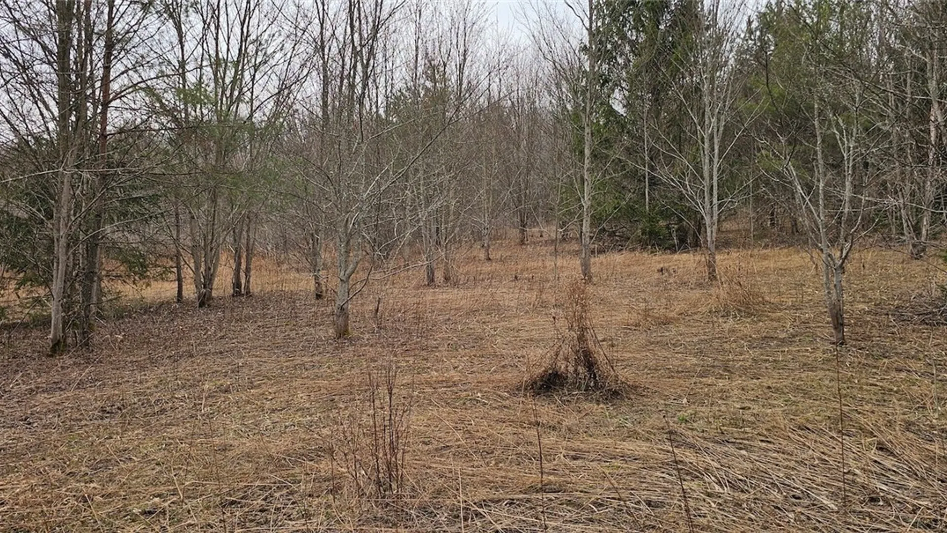 Property at Level Green Road, Caroline, NY 13736 24