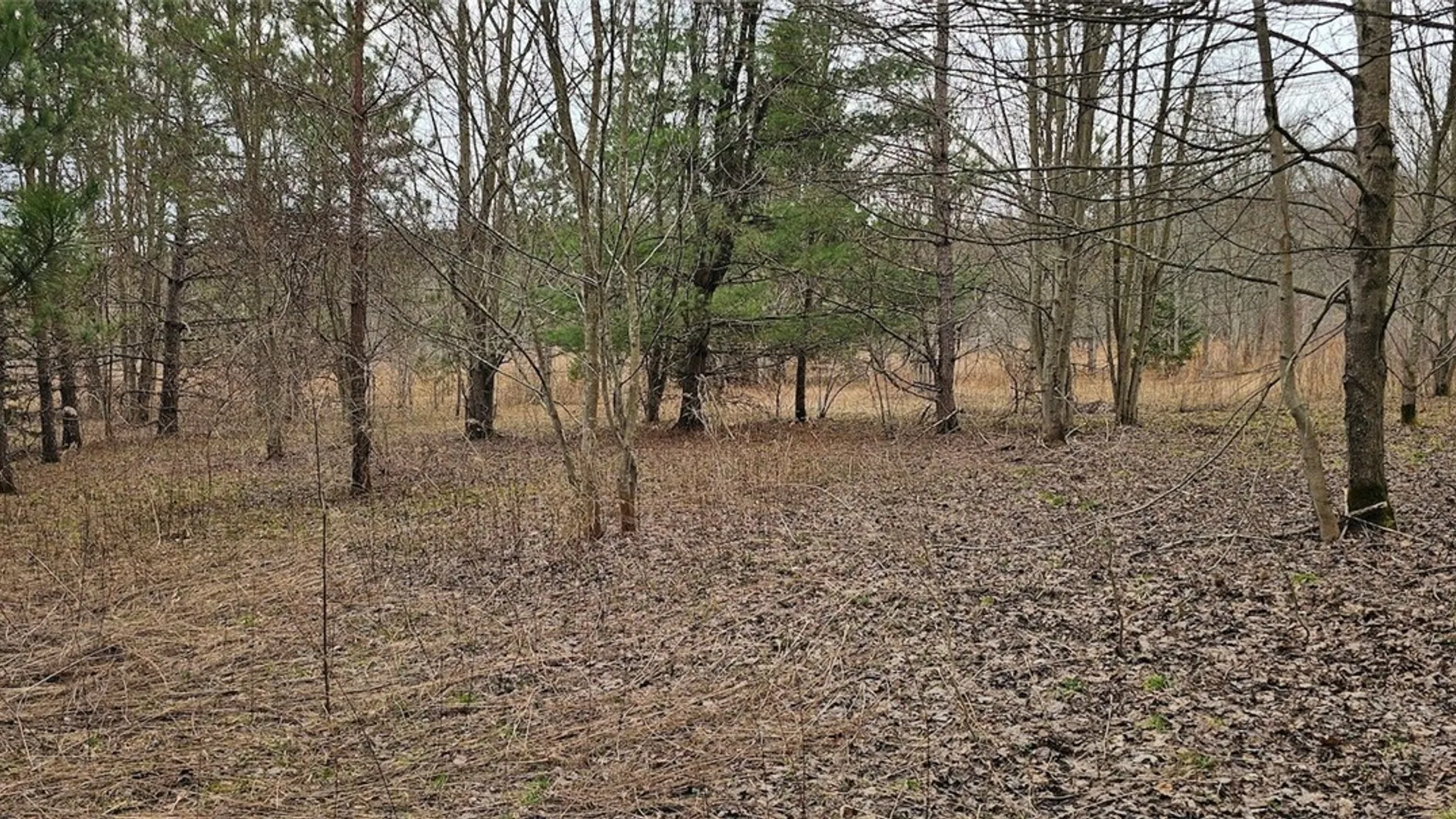 Property at Level Green Road, Caroline, NY 13736 25