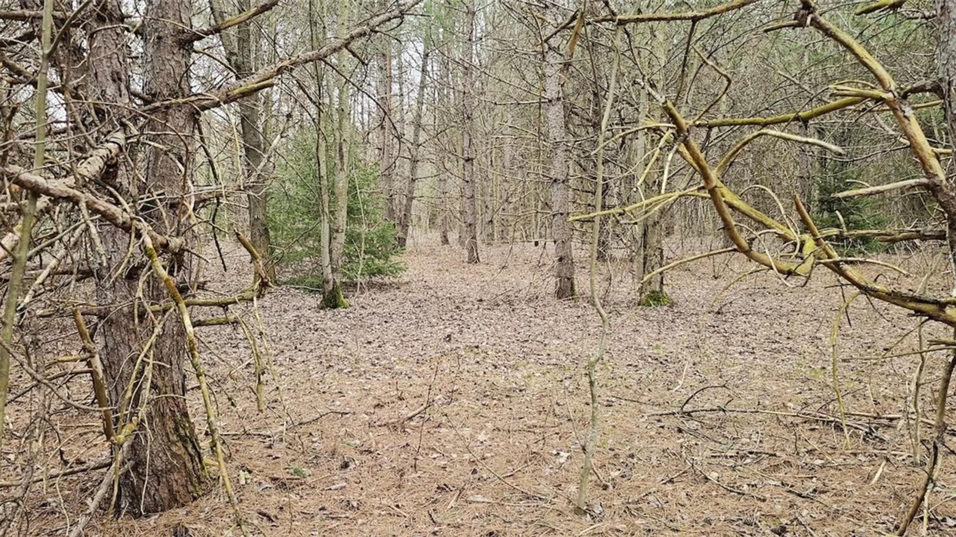 Property at Level Green Road, Caroline, NY 13736 26