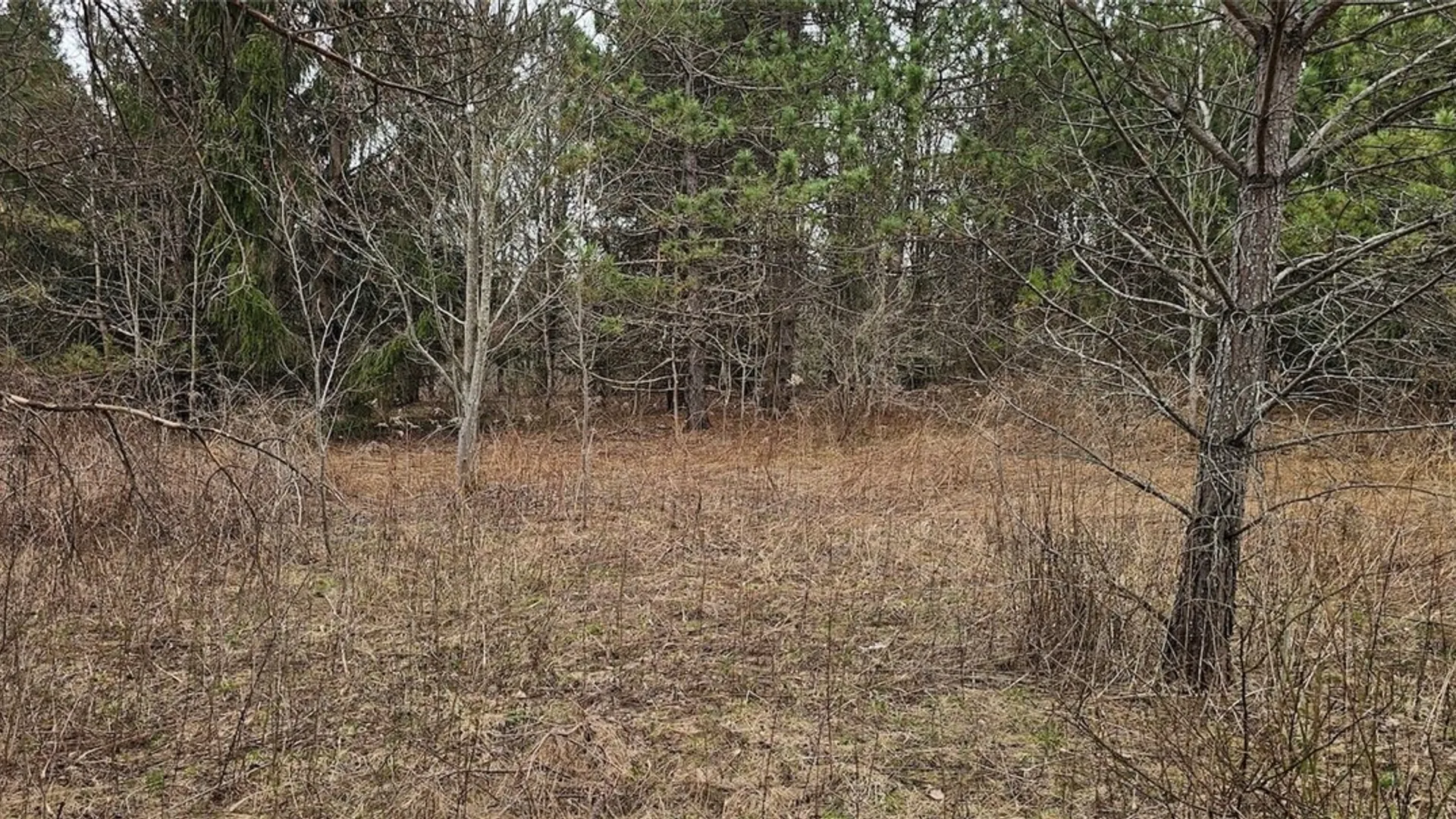 Property at Level Green Road, Caroline, NY 13736 27