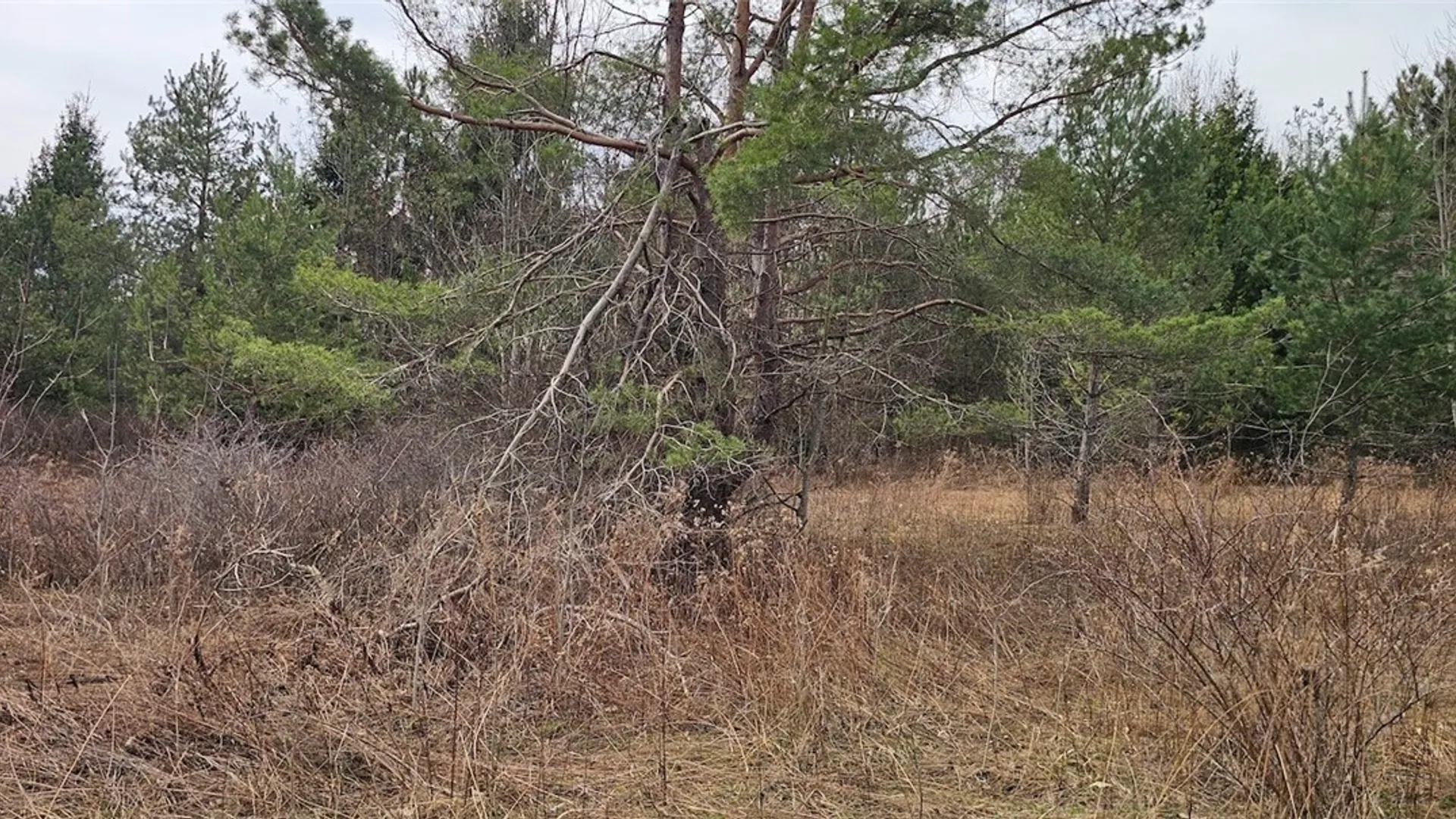 Property at Level Green Road, Caroline, NY 13736 28