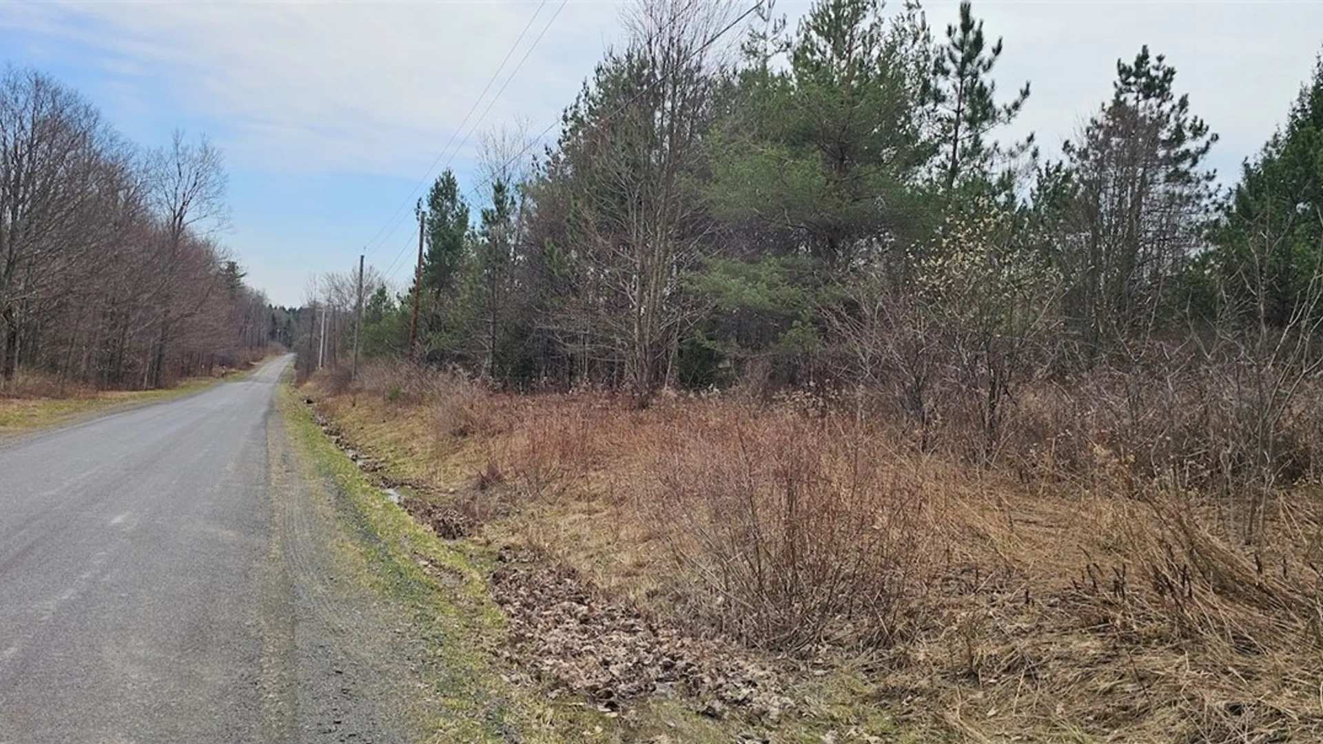 Property at Level Green Road, Caroline, NY 13736 29