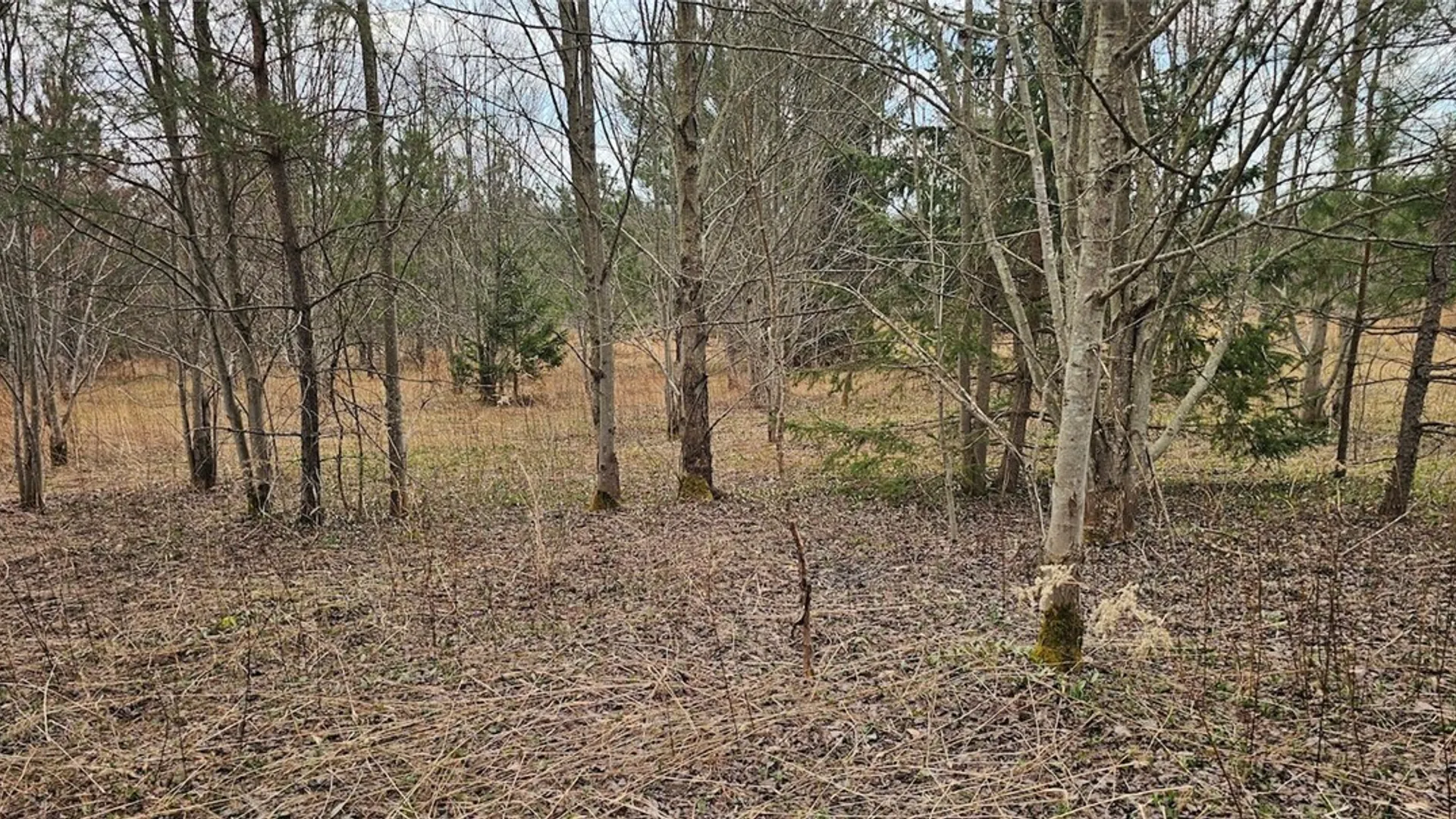 Property at Level Green Road, Caroline, NY 13736 3