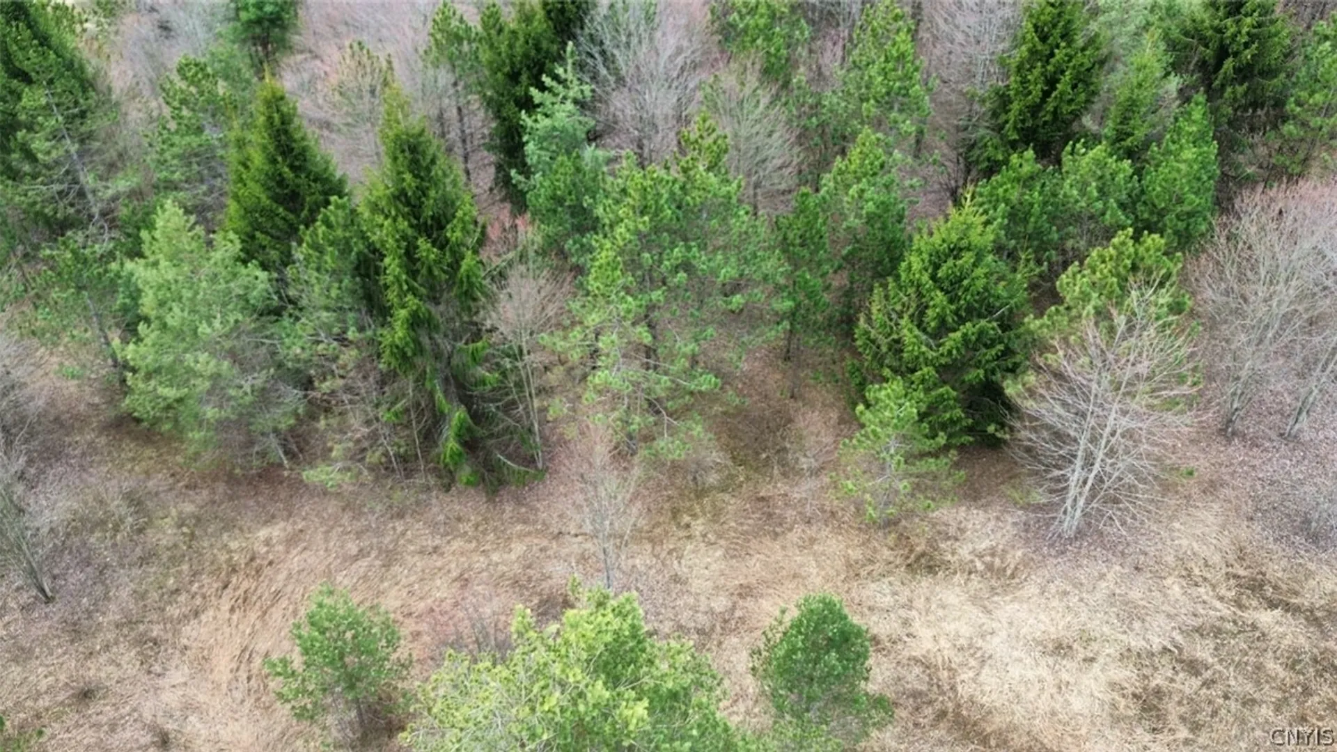 Property at Level Green Road, Caroline, NY 13736 30