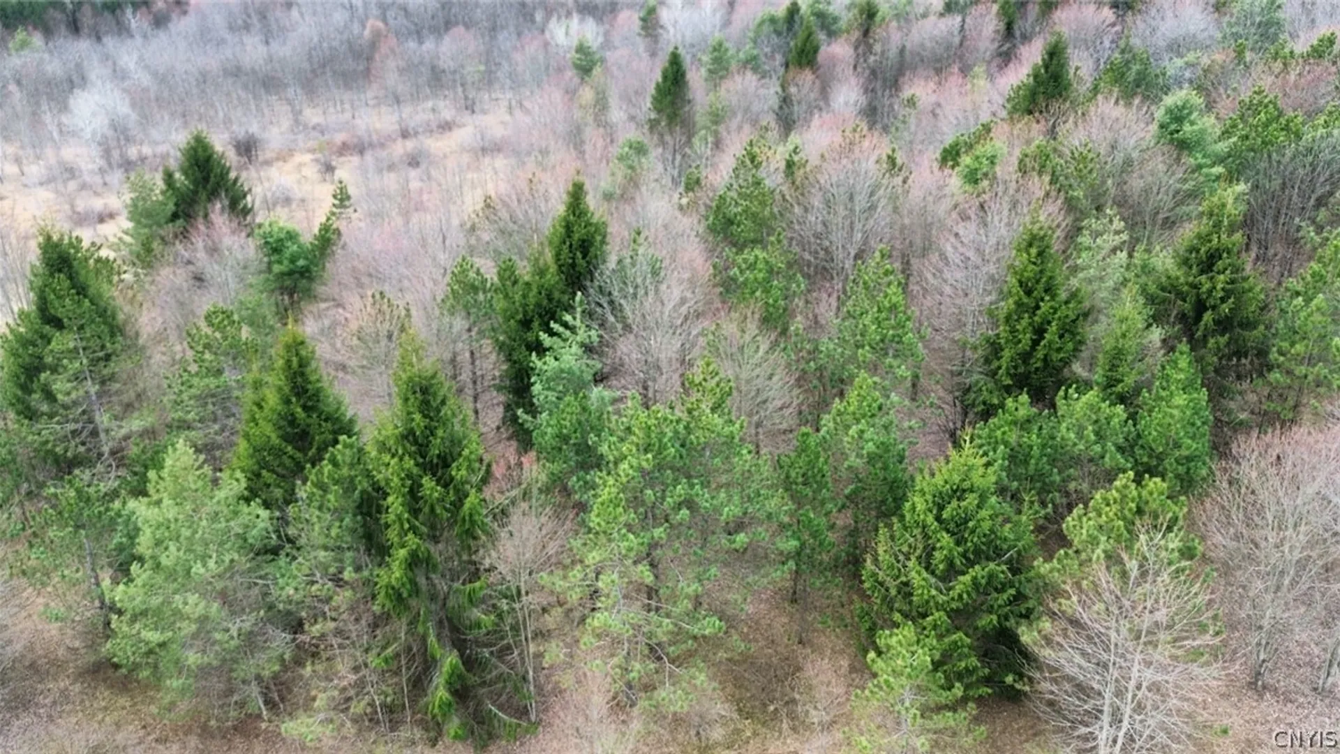 Property at Level Green Road, Caroline, NY 13736 31