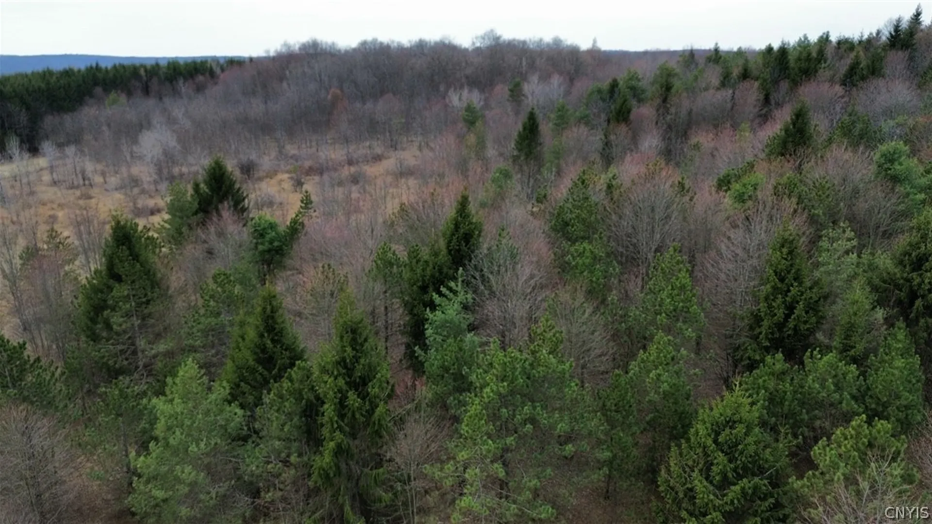 Property at Level Green Road, Caroline, NY 13736 32