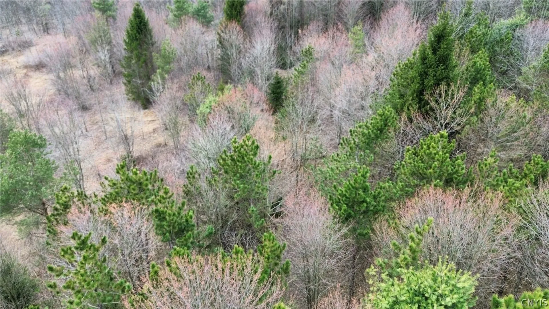 Property at Level Green Road, Caroline, NY 13736 33