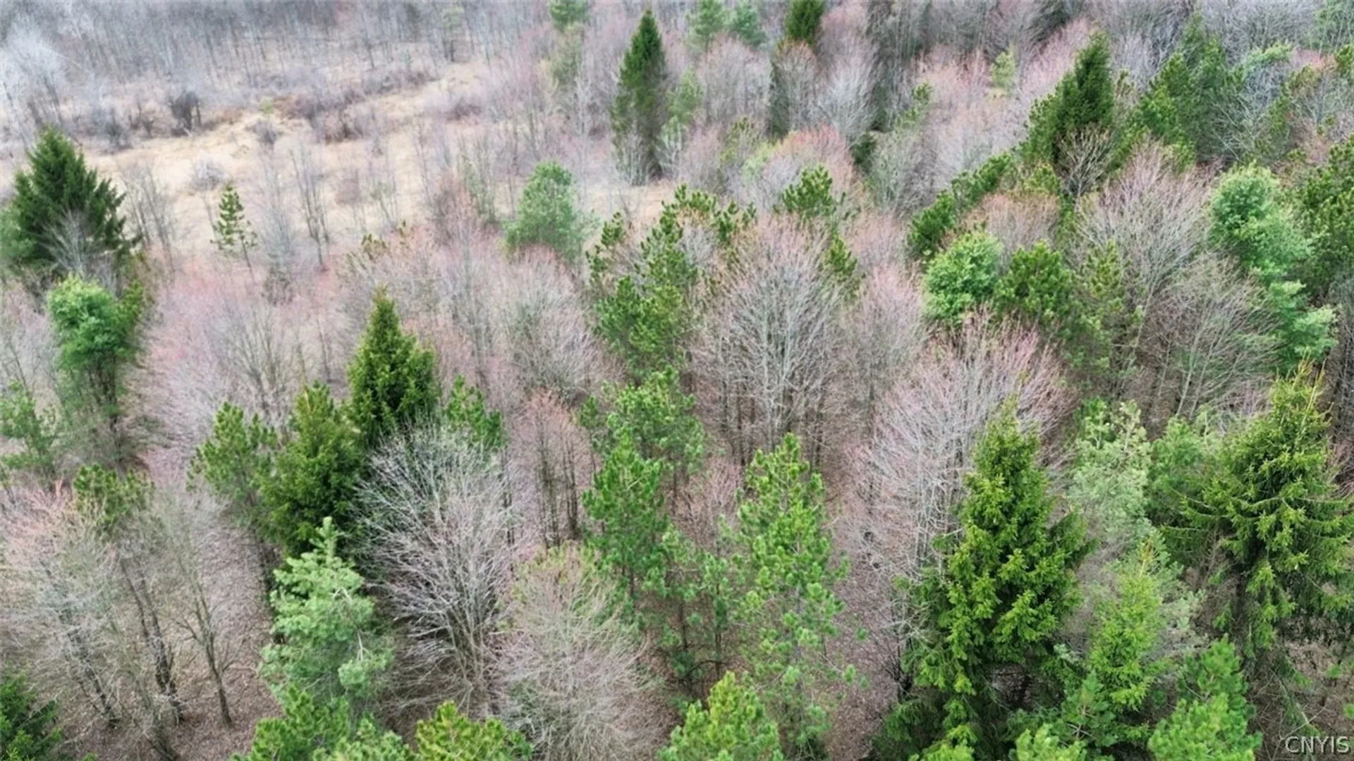 Property at Level Green Road, Caroline, NY 13736 34