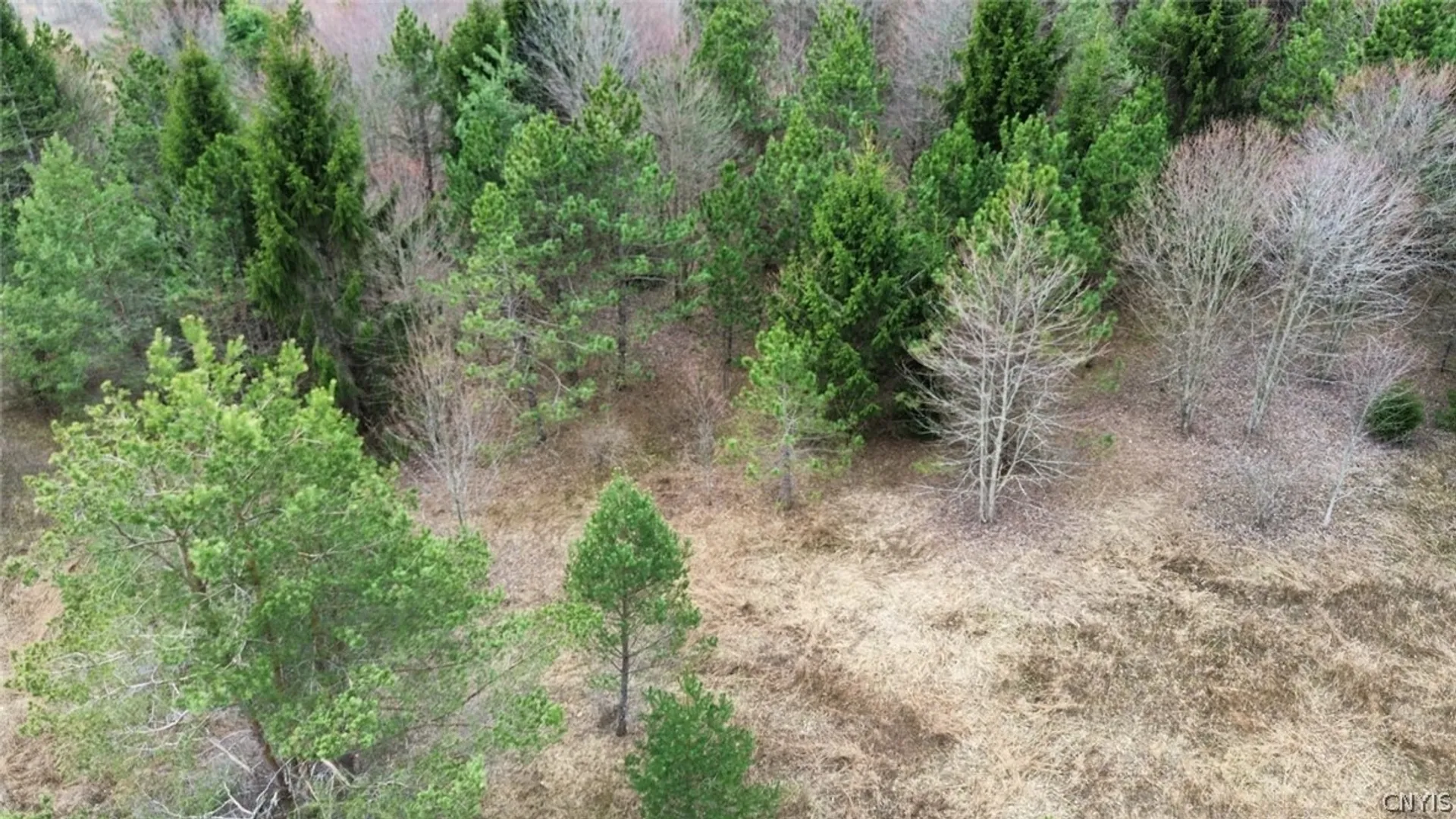 Property at Level Green Road, Caroline, NY 13736 35