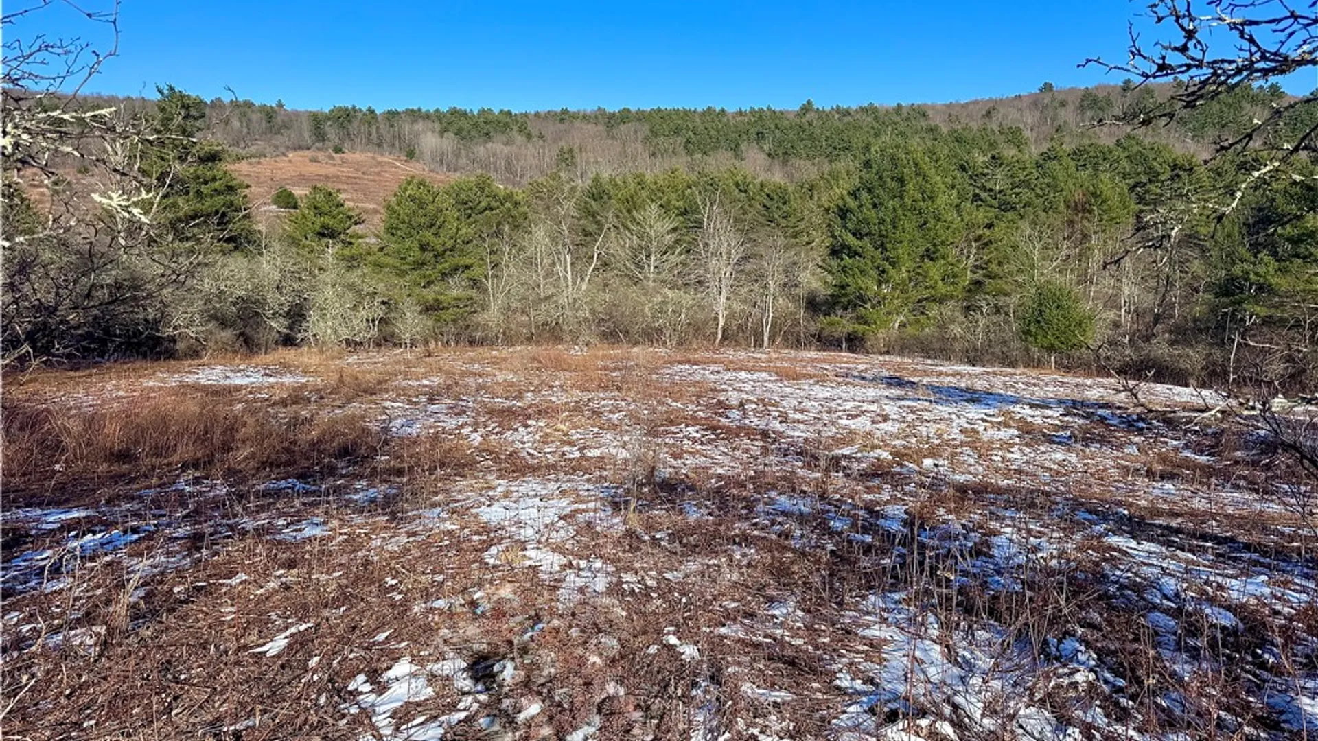 Property at 0 County Highway 6, Otego, NY 13825 2
