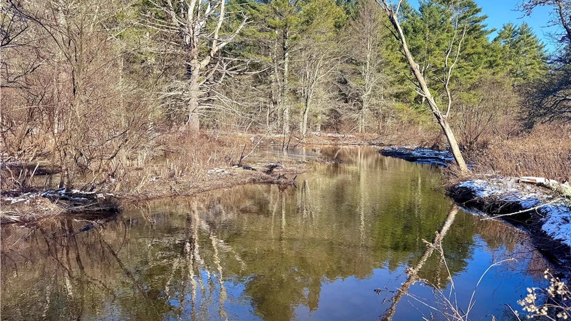Property at 0 County Highway 6, Otego, NY 13825 4