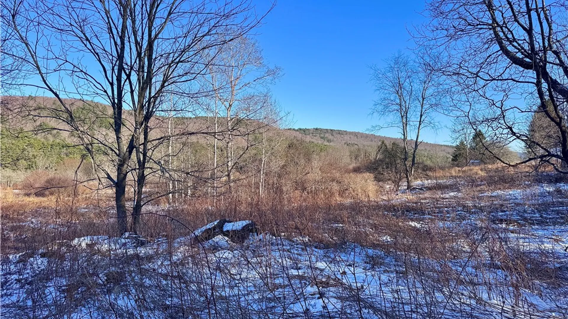 Property at 0 County Highway 6, Otego, NY 13825 5