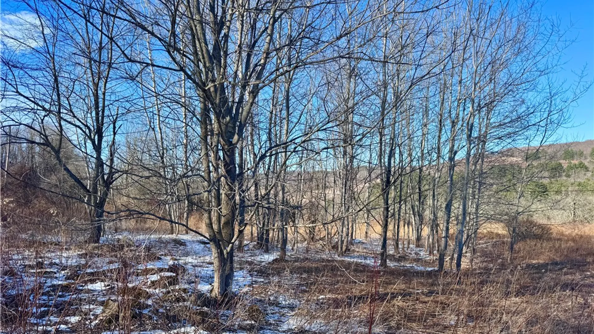 Property at 0 County Highway 6, Otego, NY 13825 6