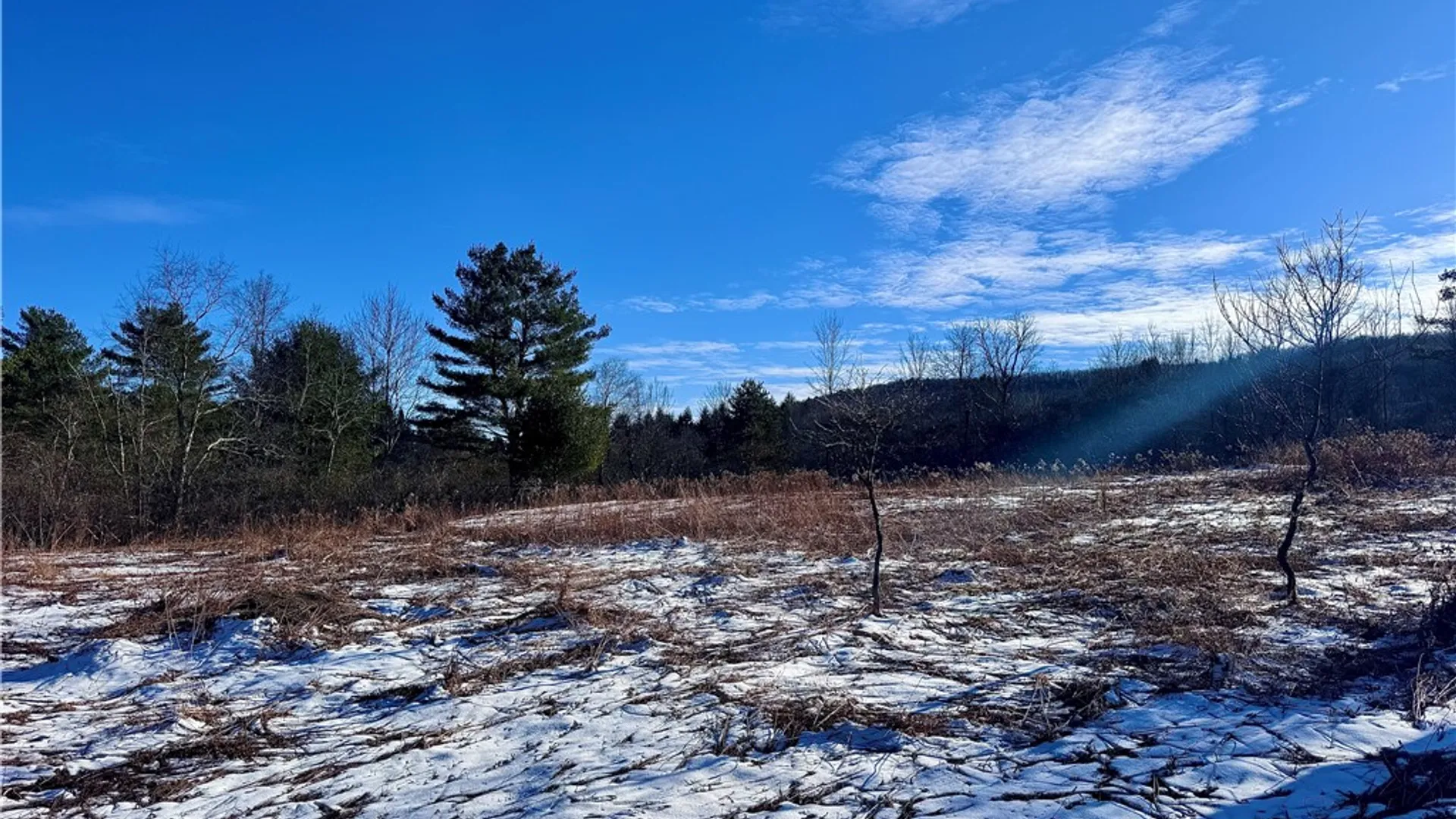 Property at 0 County Highway 6, Otego, NY 13825 7