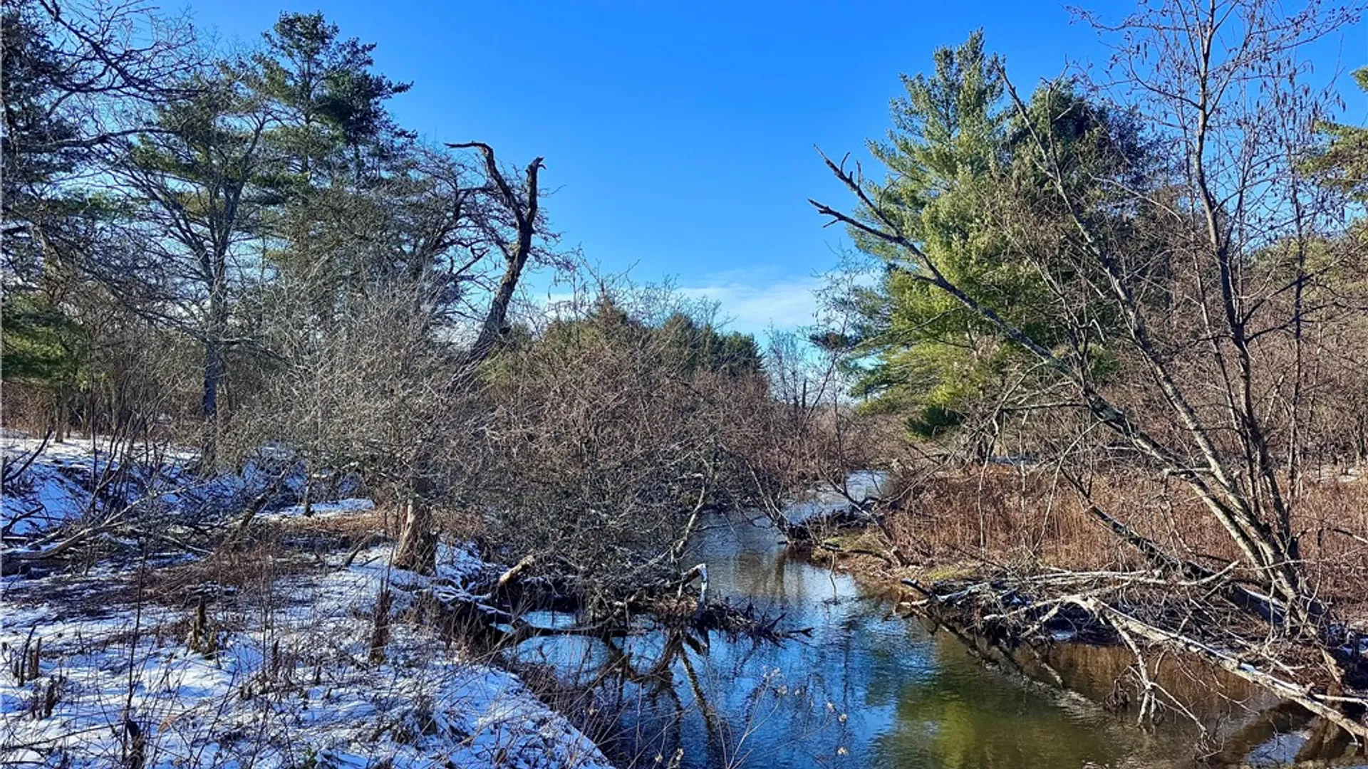 Property at 0 County Highway 6, Otego, NY 13825 8