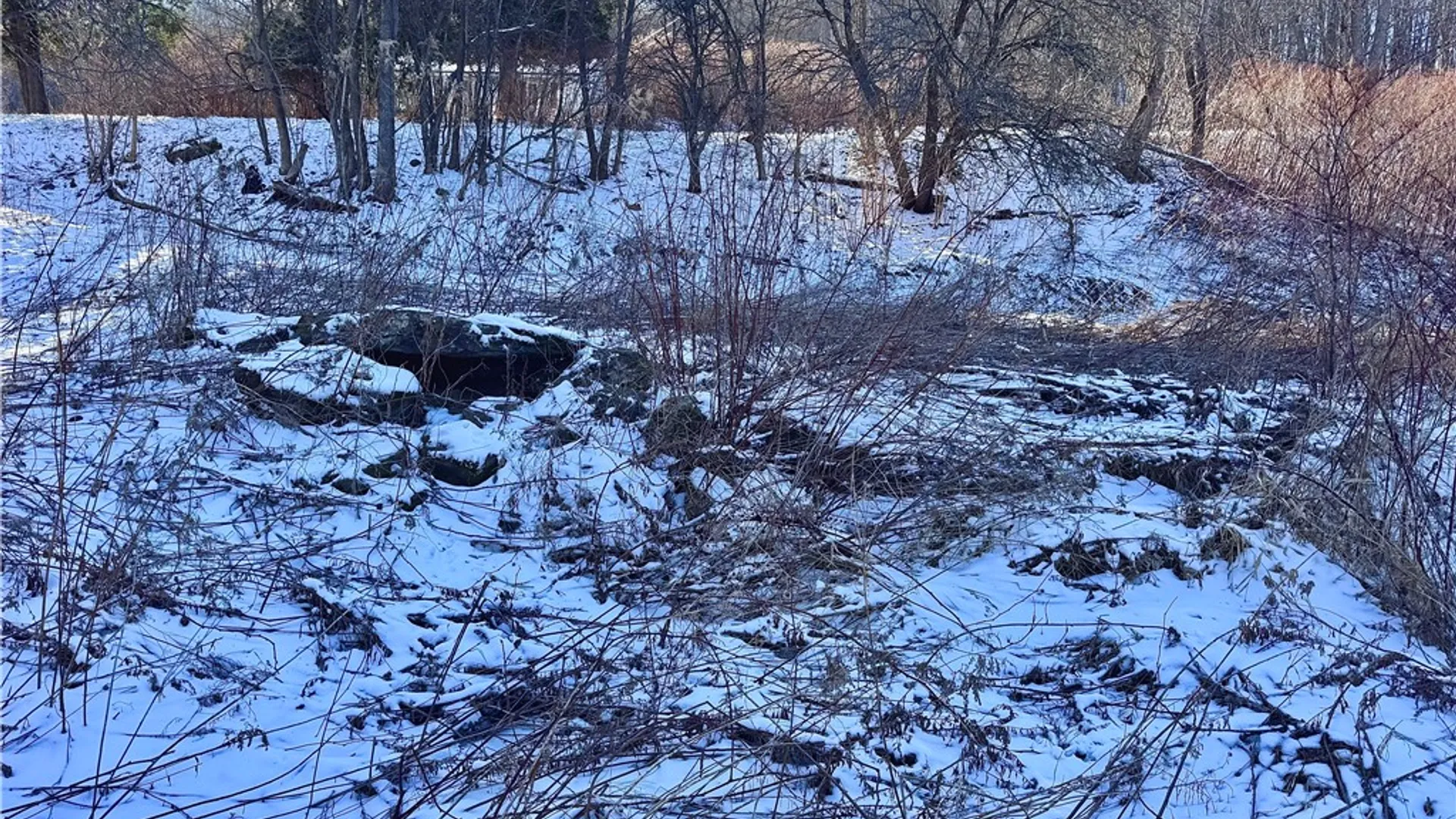 Property at 0 County Highway 6, Otego, NY 13825 9