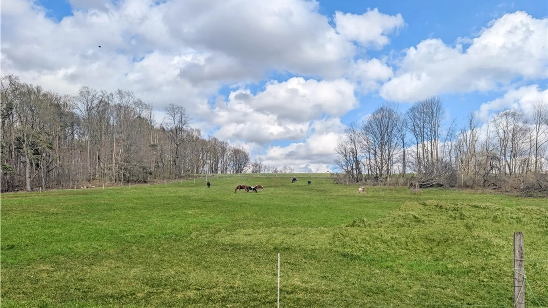 Property at 9480 Ravlin Hill Road, French Creek, NY 14724 43