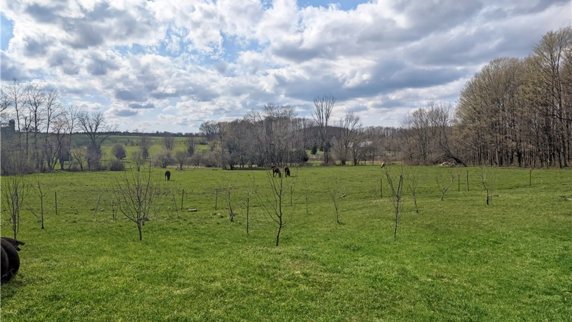 Property at 9480 Ravlin Hill Road, French Creek, NY 14724 44