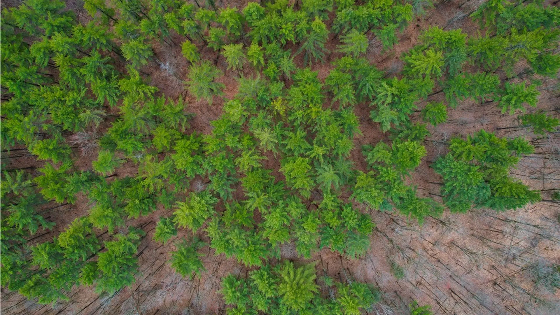 Property at 7 Baldwin Road, Watson, NY 13343 8