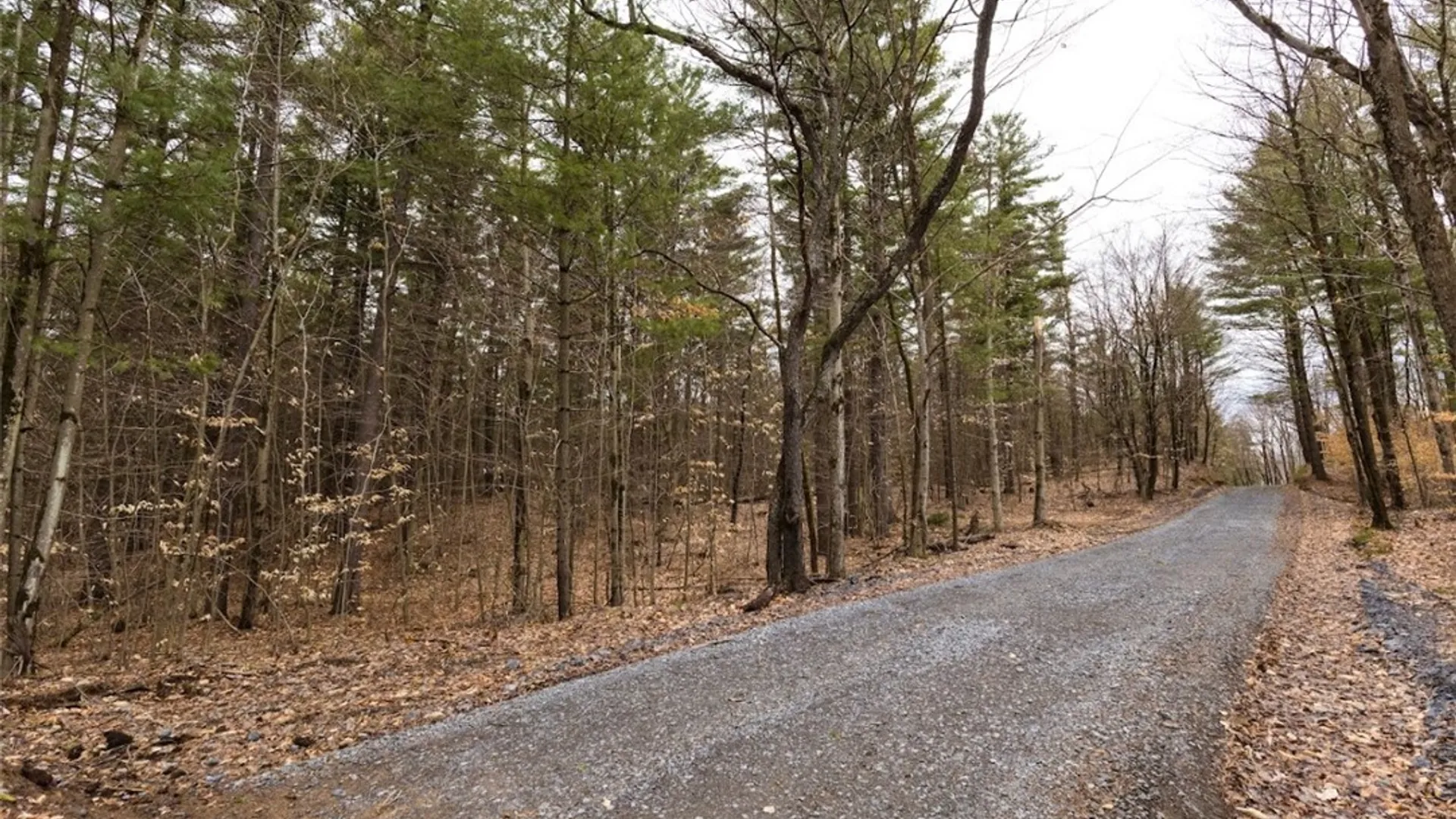 Property at 7 Baldwin Road, Watson, NY 13343 9