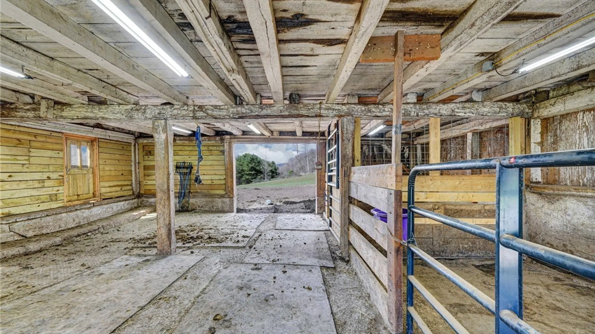 Property at 1573 State Route 19, Willing, NY 14895 15