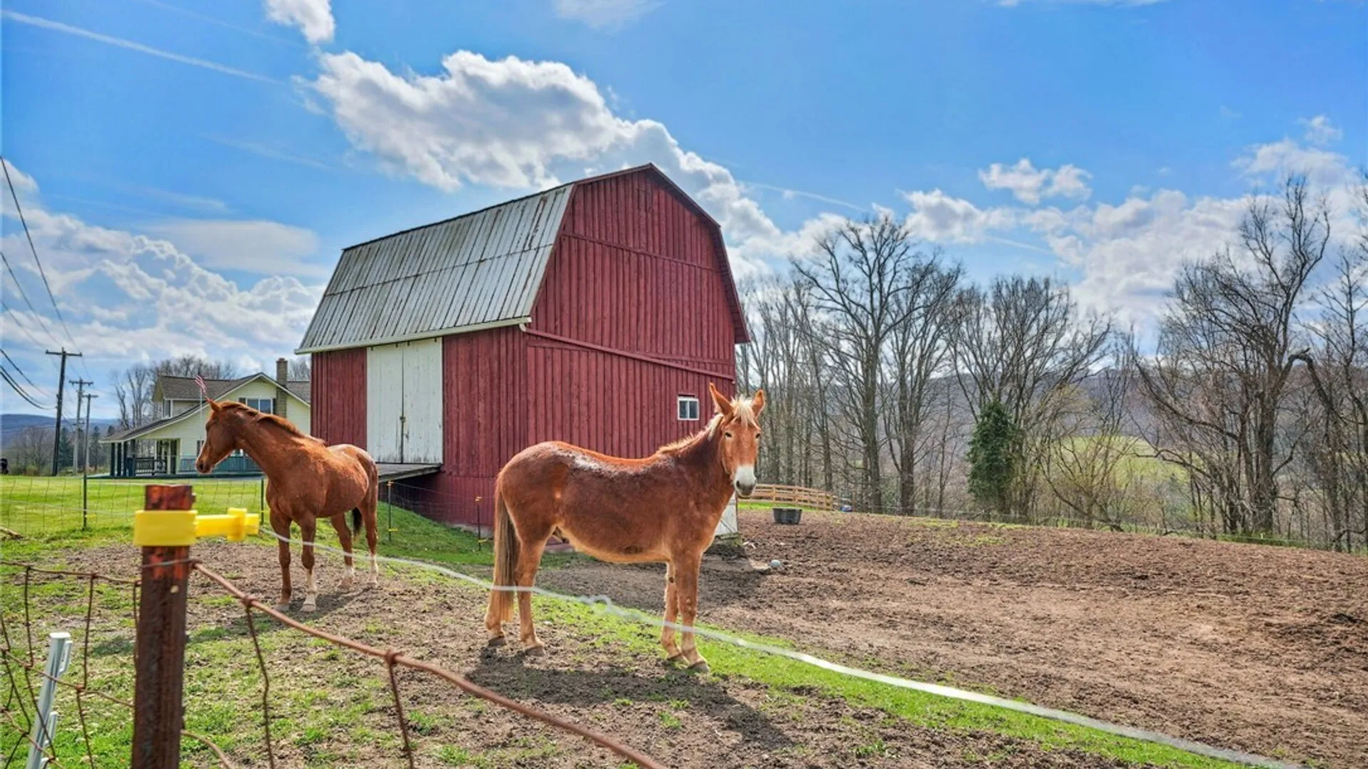 Property at 1573 State Route 19, Willing, NY 14895 16