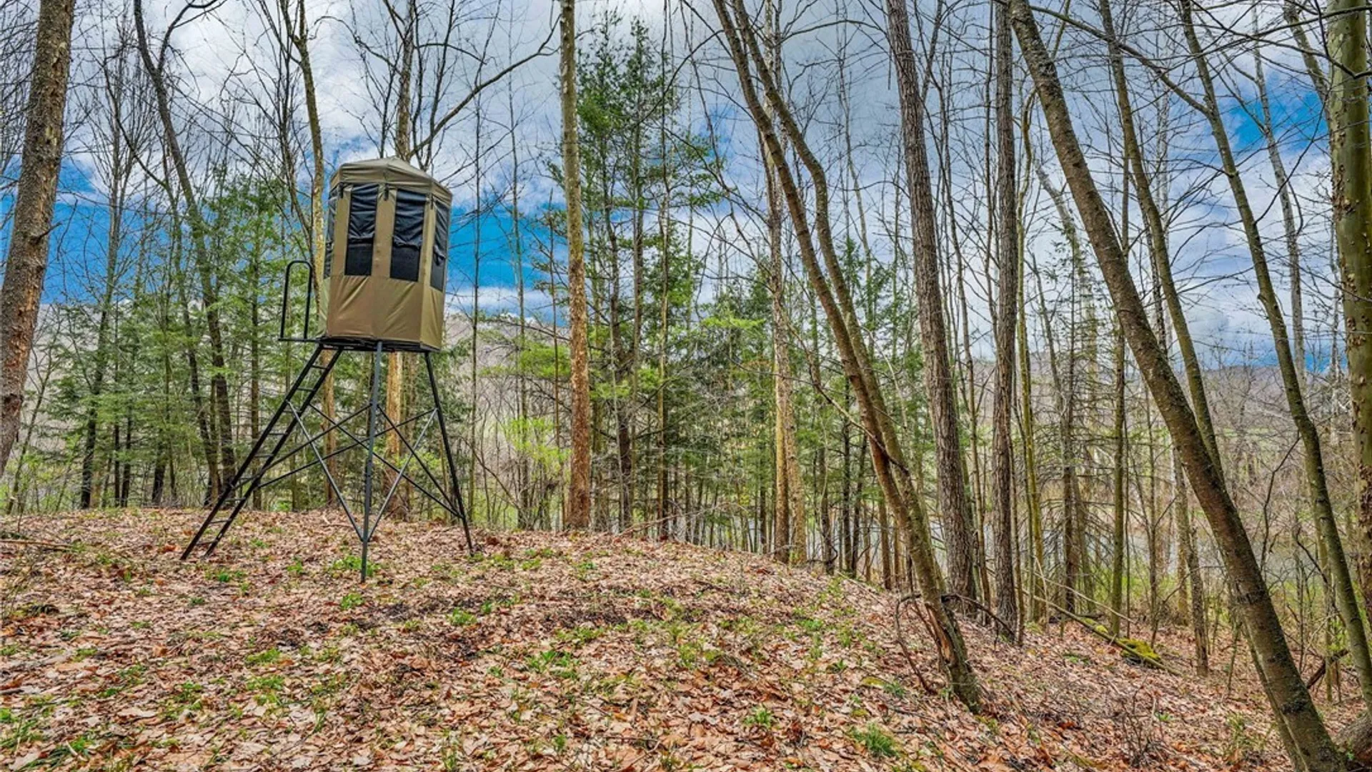 Property at 1573 State Route 19, Willing, NY 14895 21